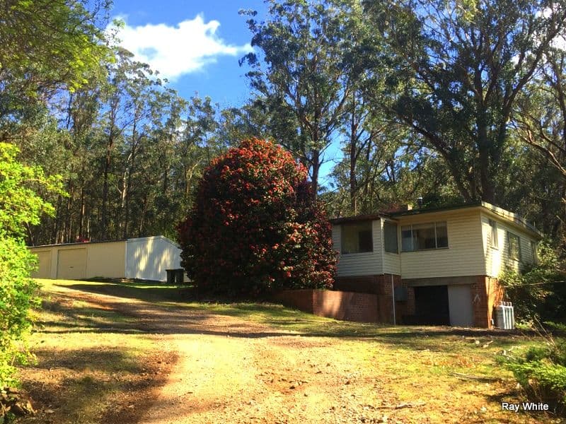 4972 Kings Highway Road, Braidwood NSW 2622, Braidwood - Thumbnail 8