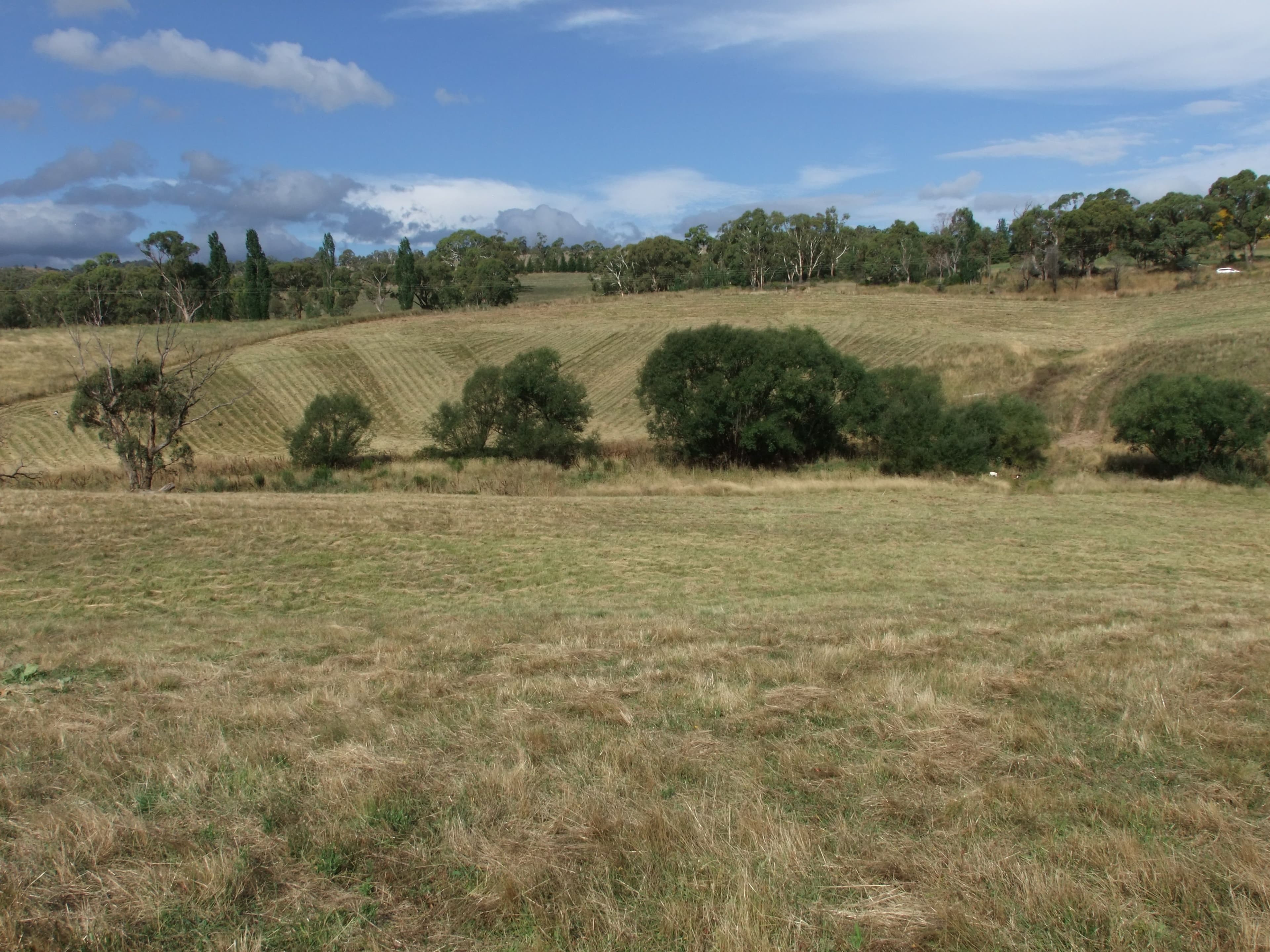 Tarana NSW 2787, Tarana - Thumbnail 7