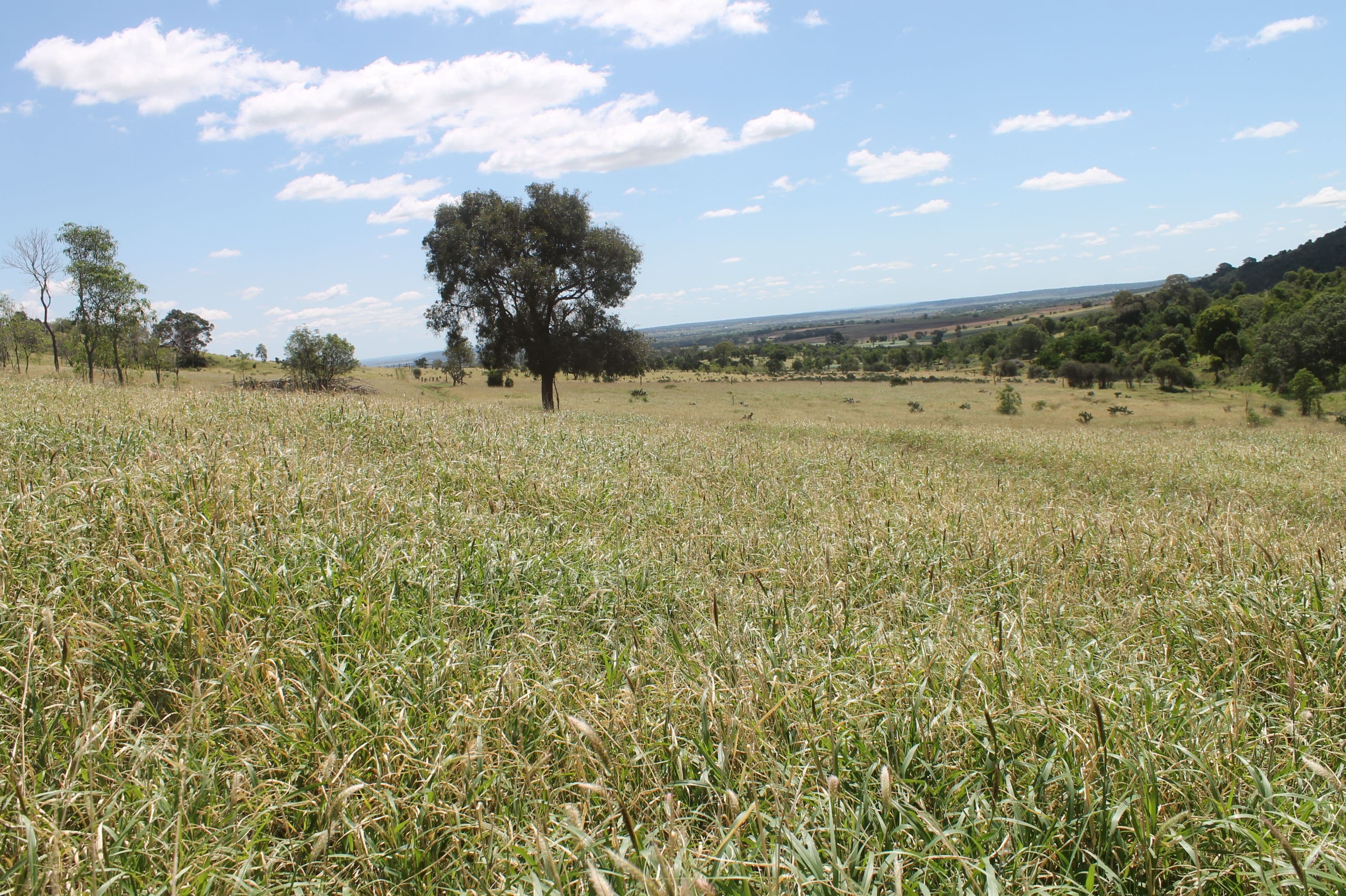 Bell QLD 4408, Bell - Thumbnail 6