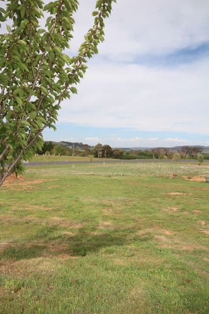 2 Blenheim Avenue, Oberon NSW 2787, Oberon - Image 1