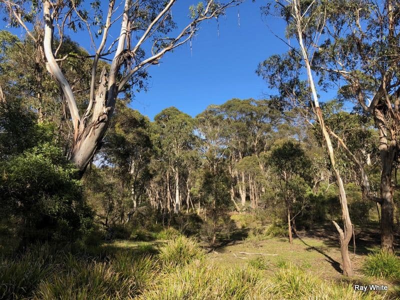 98 Kirriford Road, Nerriga NSW 2622, Nerriga - Image 1