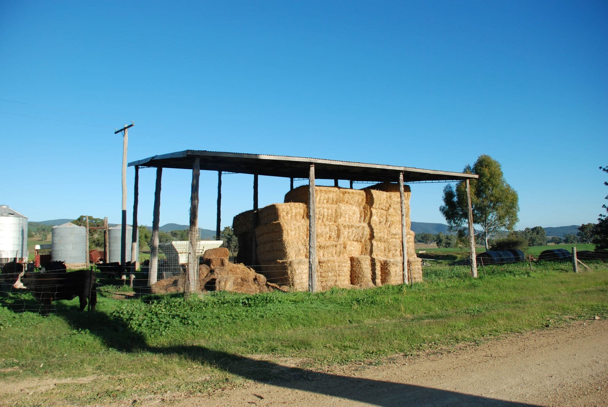 Eugowra NSW 2806, Eugowra - Thumbnail 5