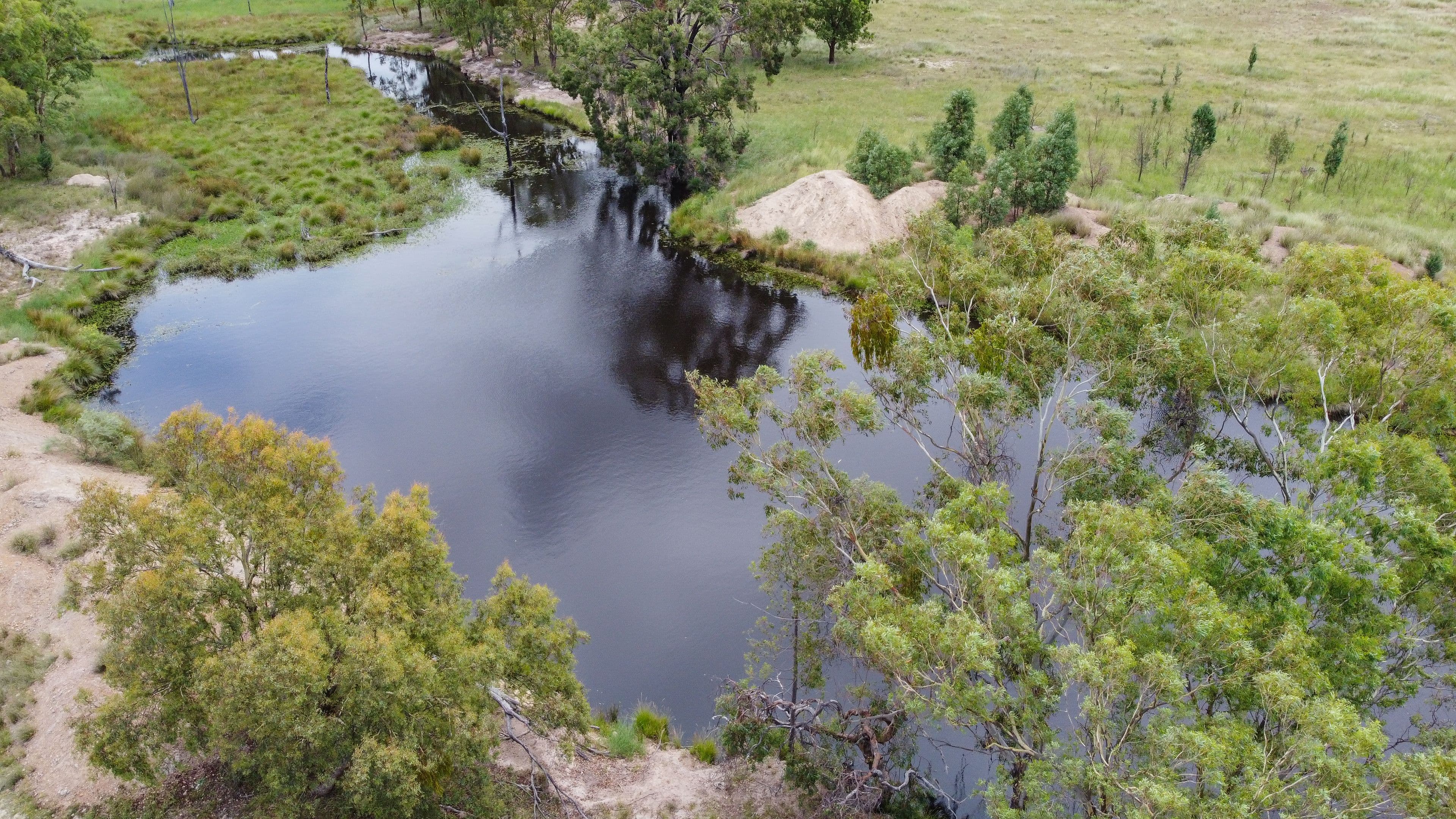 274 Homebush Road, GREENUP QLD 4387, Greenup - Thumbnail 4
