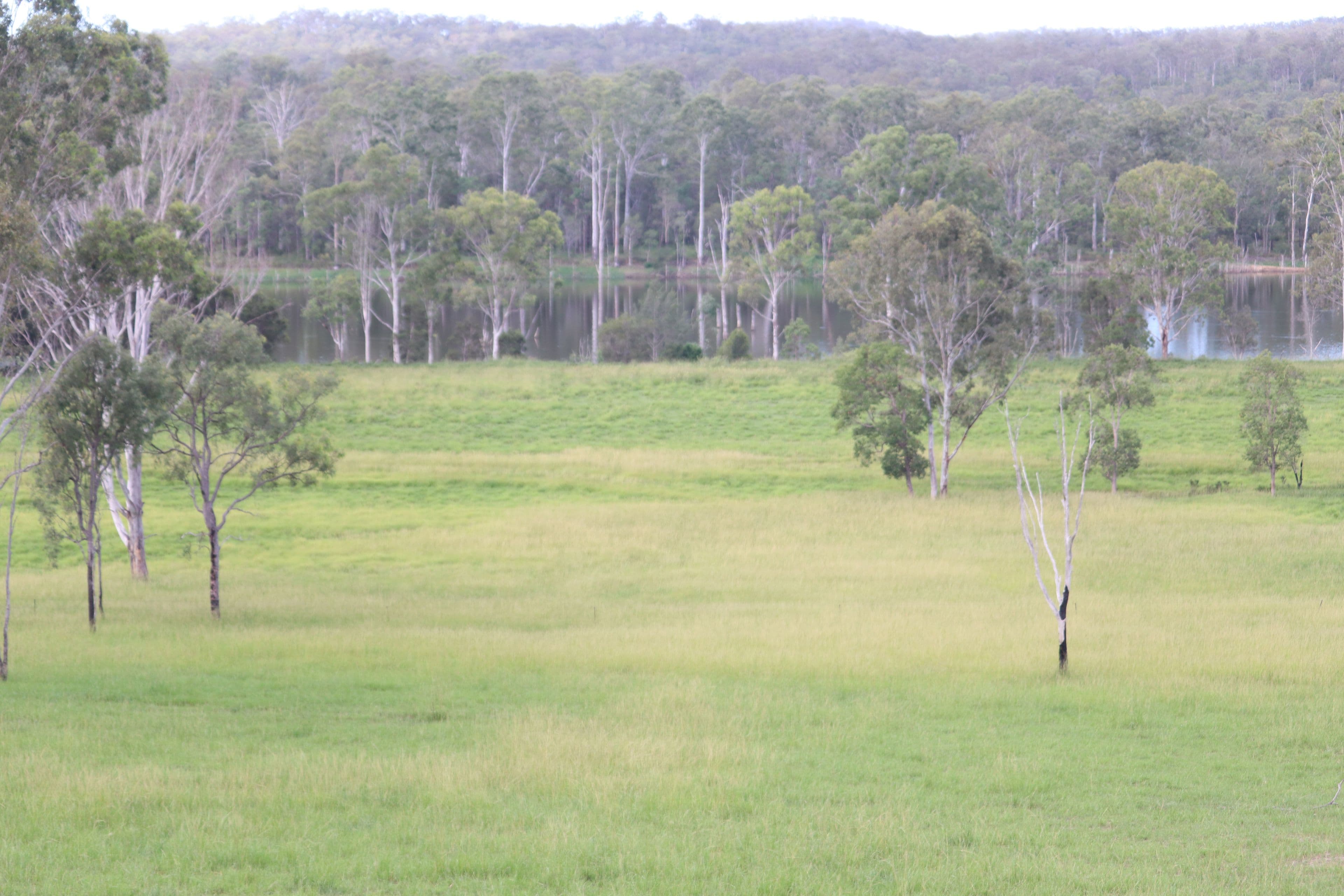 39040 Bruce Highway, Gin Gin QLD 4671, Gin Gin - Thumbnail 2