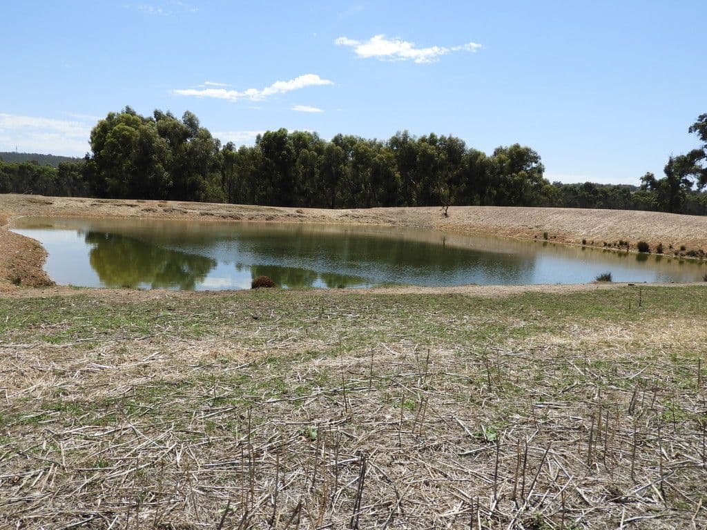 Boase Road Farm, Bakers Hill WA 6562, Bakers Hill - Thumbnail 7