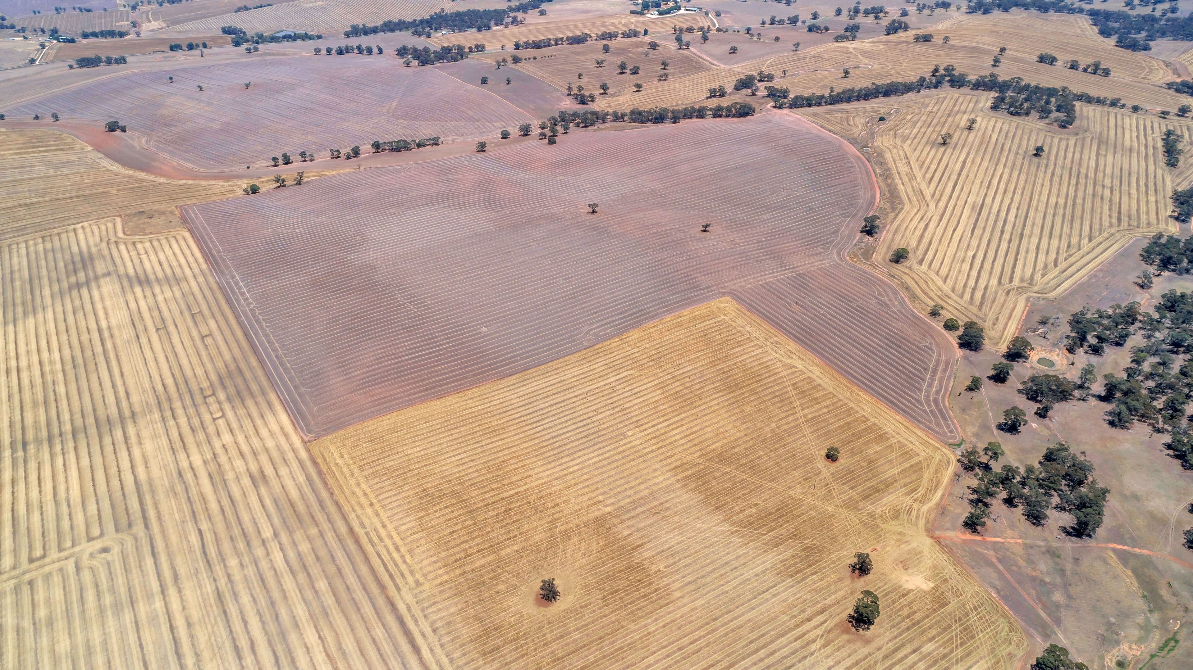 Lot 202 Avondale Road, Riverton SA 5412, Riverton - Thumbnail 7