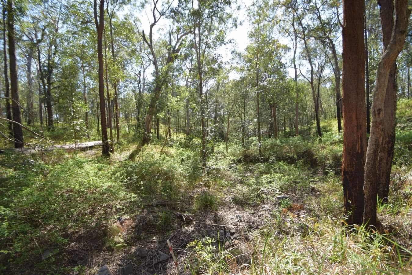 282 Whipbird Drive, Buaraba QLD 4311, Buaraba - Thumbnail 6
