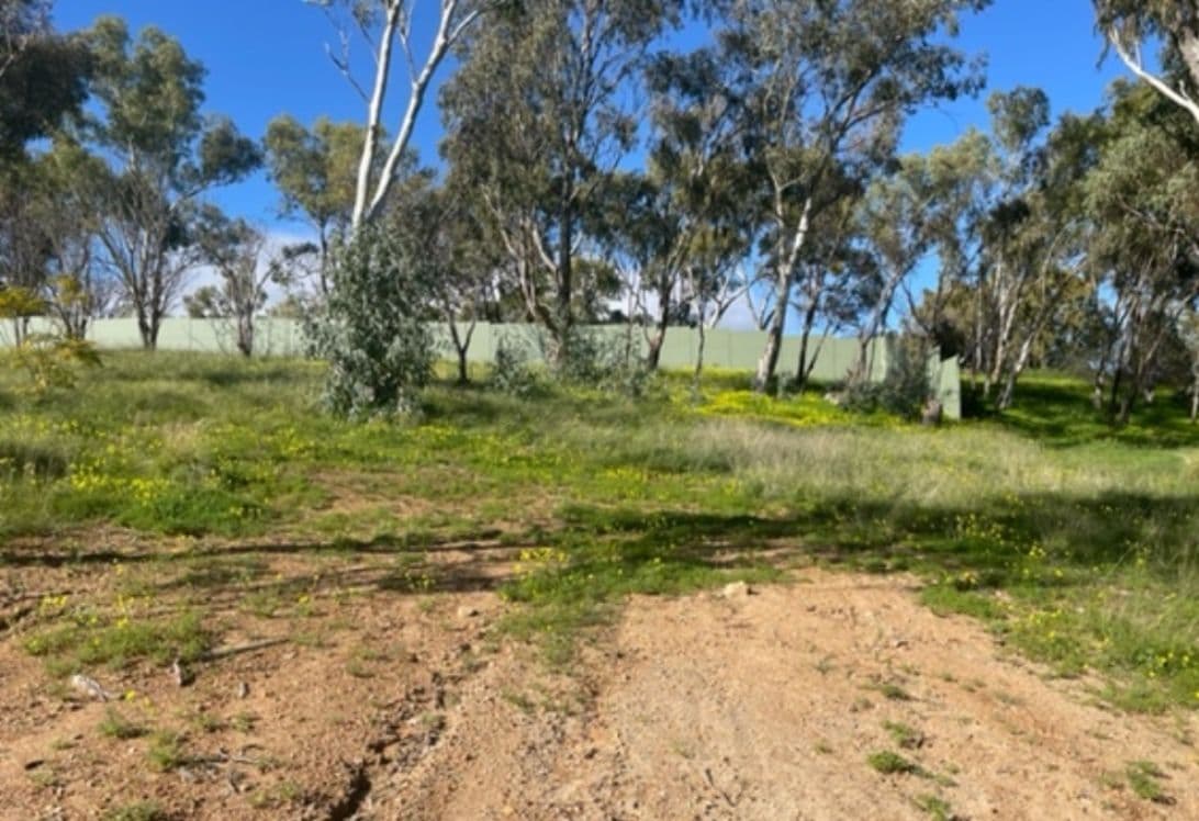 42 Arundle Avenue, Greenmount WA 6056, Greenmount - Thumbnail 2