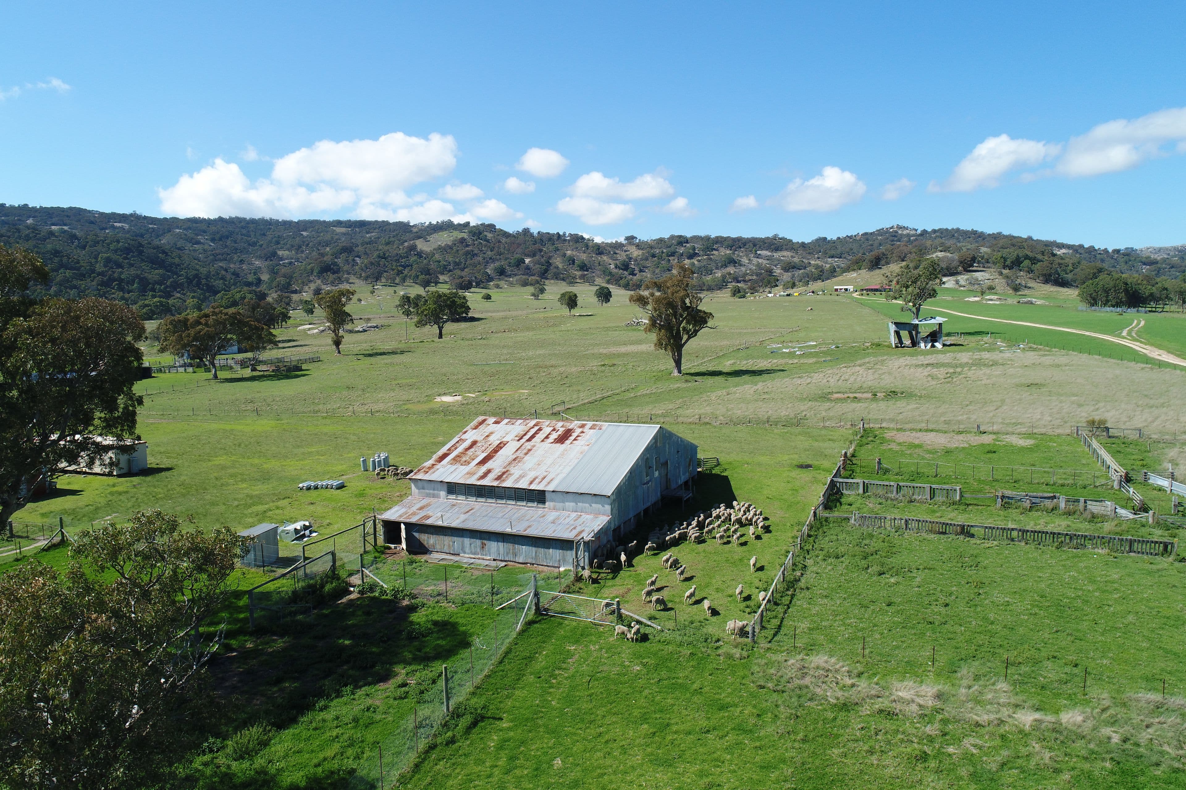 924a Kildare Road, Tenterfield NSW 2372, Tenterfield - Image 1