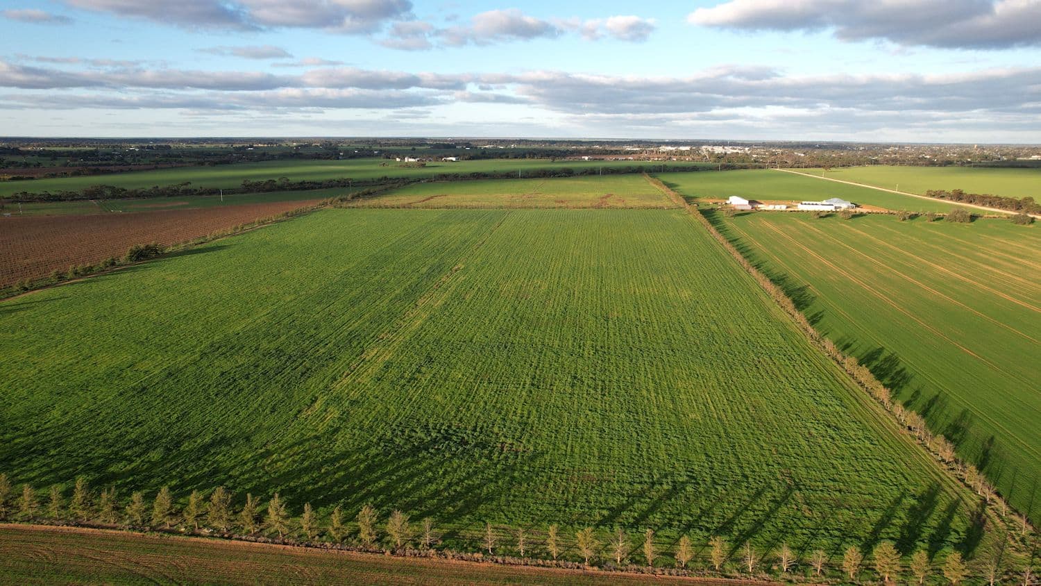 345 Woorinen Road, Swan Hill VIC 3585, Swan Hill - Thumbnail 4