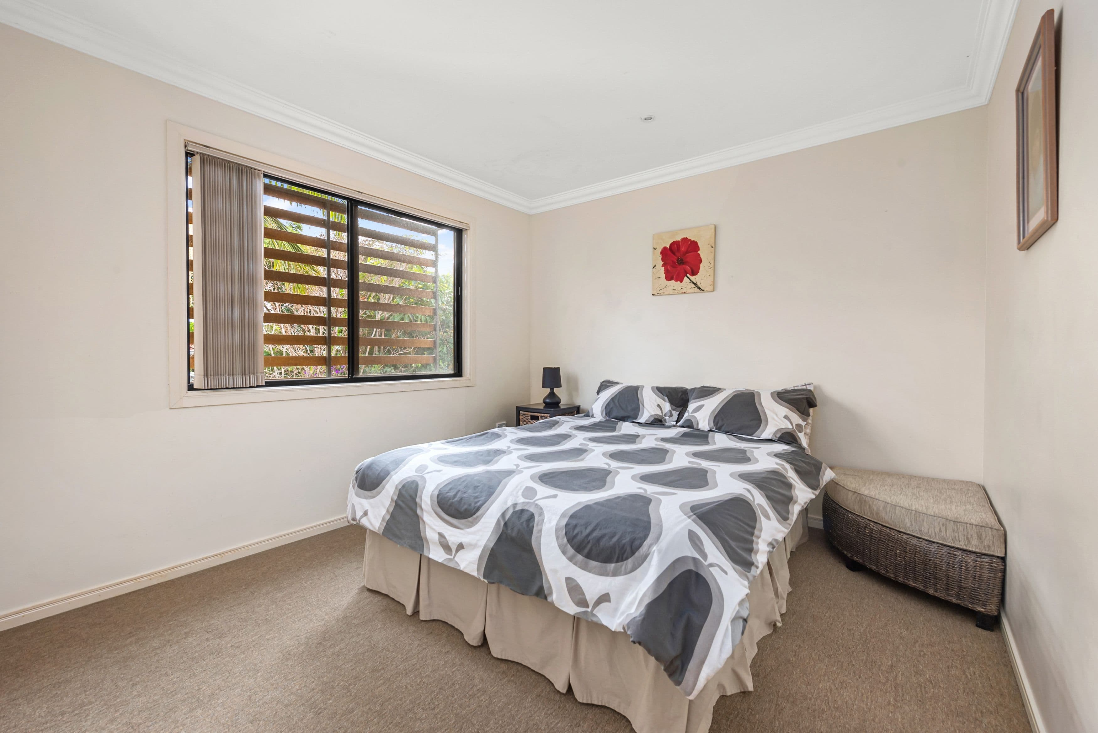 8 Herbert Street, Scarborough QLD 4020, Scarborough - Thumbnail 8