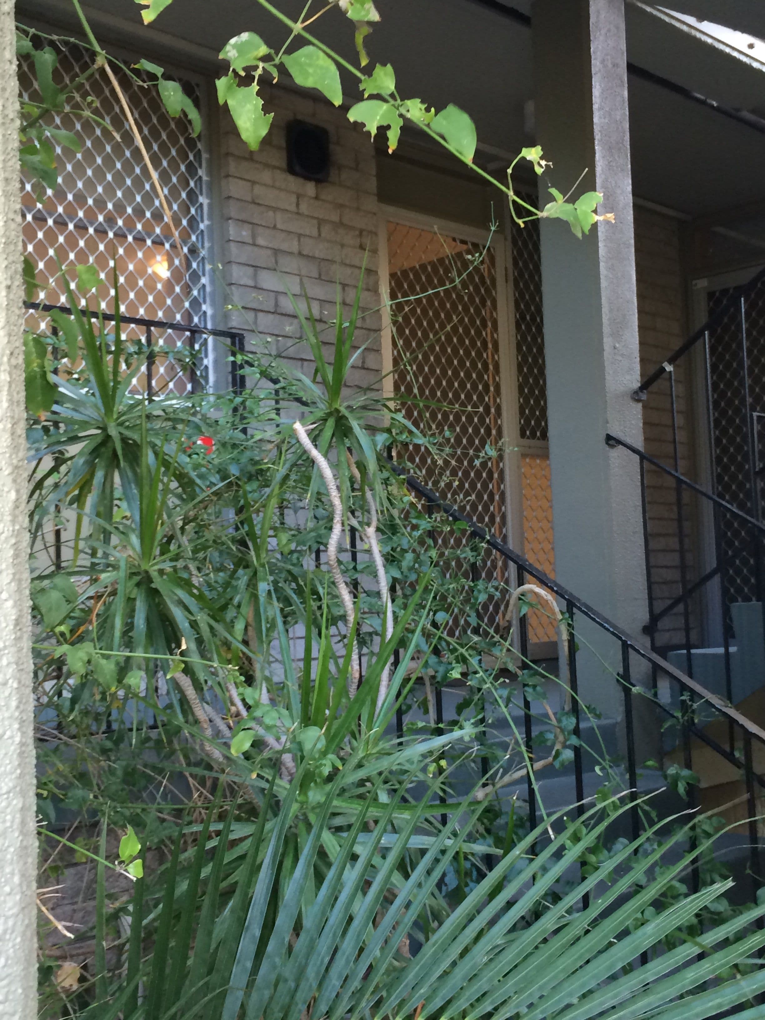 2/133 Lincoln Street, Highgate WA 6003, Highgate - Thumbnail 5