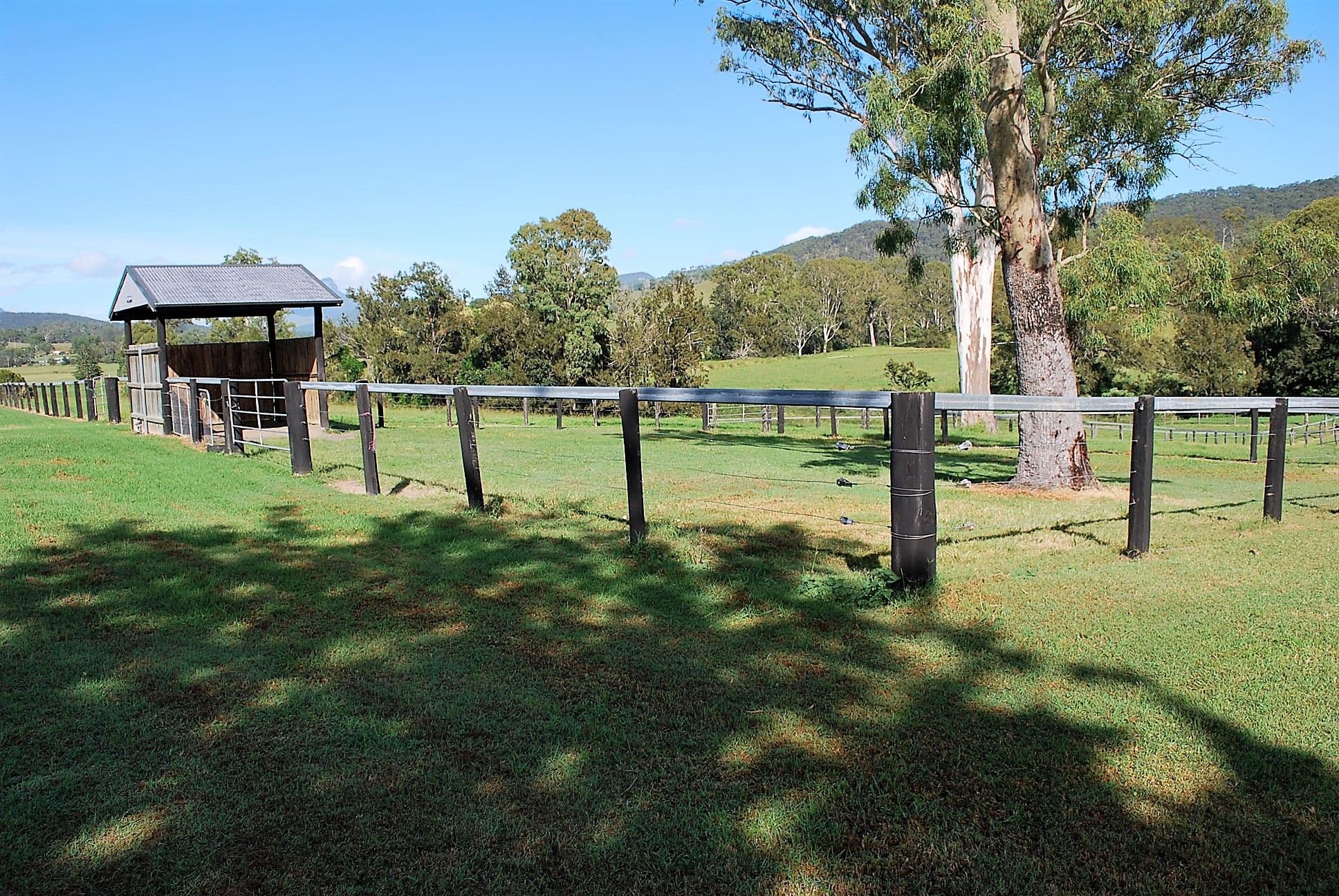 10822 Mount Lindesay Highway, Palen Creek QLD 4287, Palen Creek - Thumbnail 3