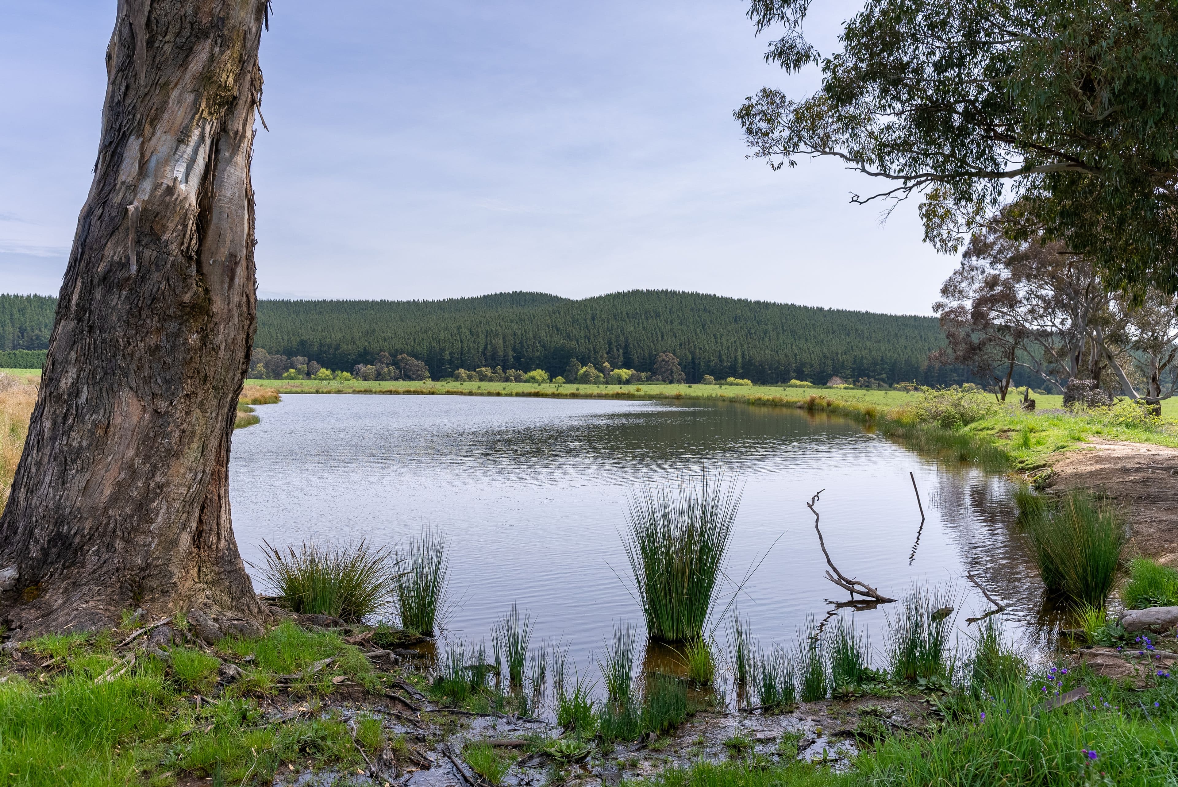 66 Giles Road, Orange NSW 2800, Orange - Thumbnail 2