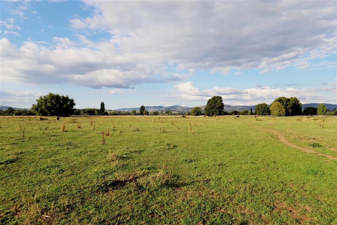 "Brymay" Lot 8 Tumut Plains Road, Tumut NSW 2720, Tumut - Thumbnail 2