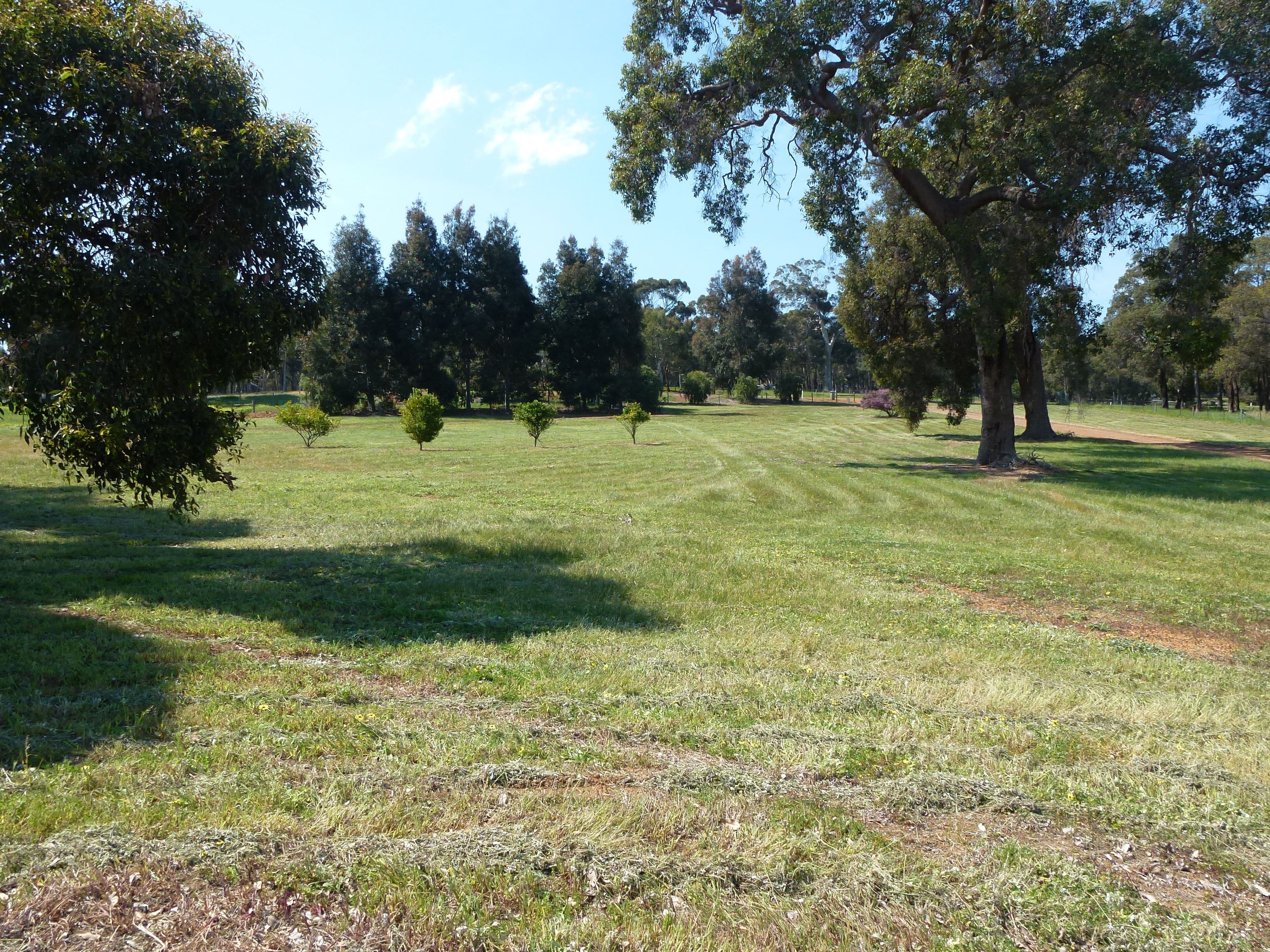 287 Maine Anjou Drive, Lower Chittering WA 6084, Lower Chittering - Thumbnail 3