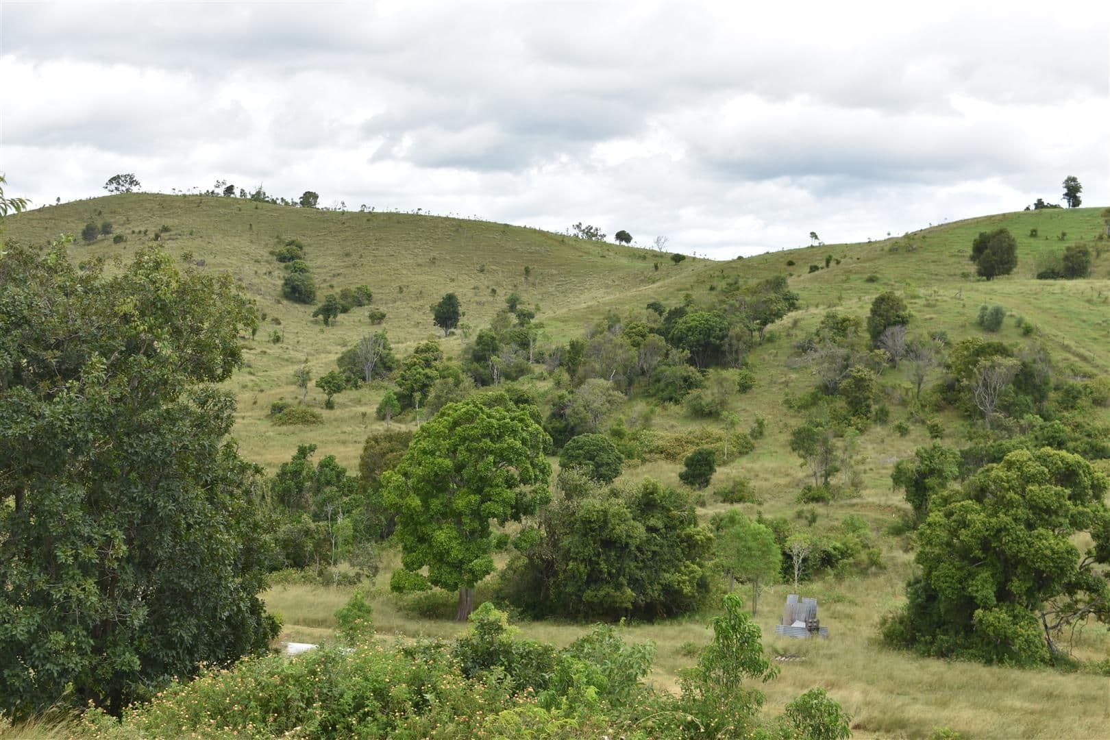 42 Ware Road, BRACEWELL QLD 4695, Bracewell - Thumbnail 6