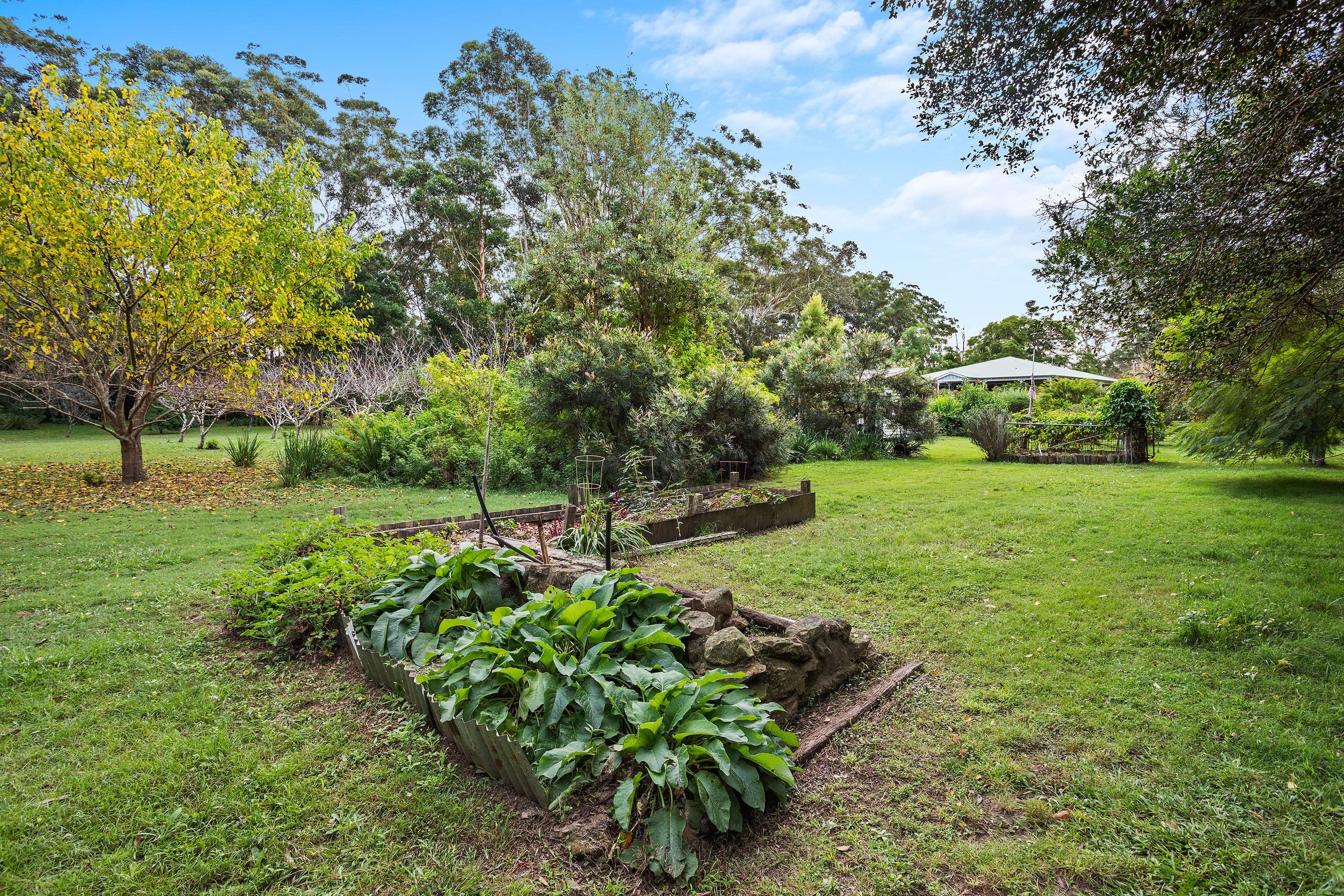 25 Mardi Road, Mardi NSW 2259, Mardi - Thumbnail 7