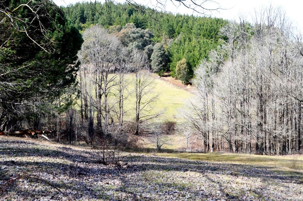 1345 Argalong Road, Tumut NSW 2720, Tumut - Thumbnail 7