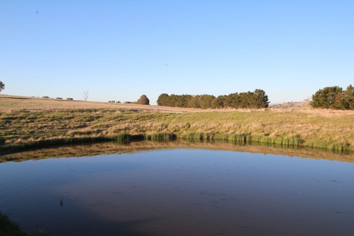 374 Wimbledon Road, Bathurst NSW 2795, Bathurst - Thumbnail 2