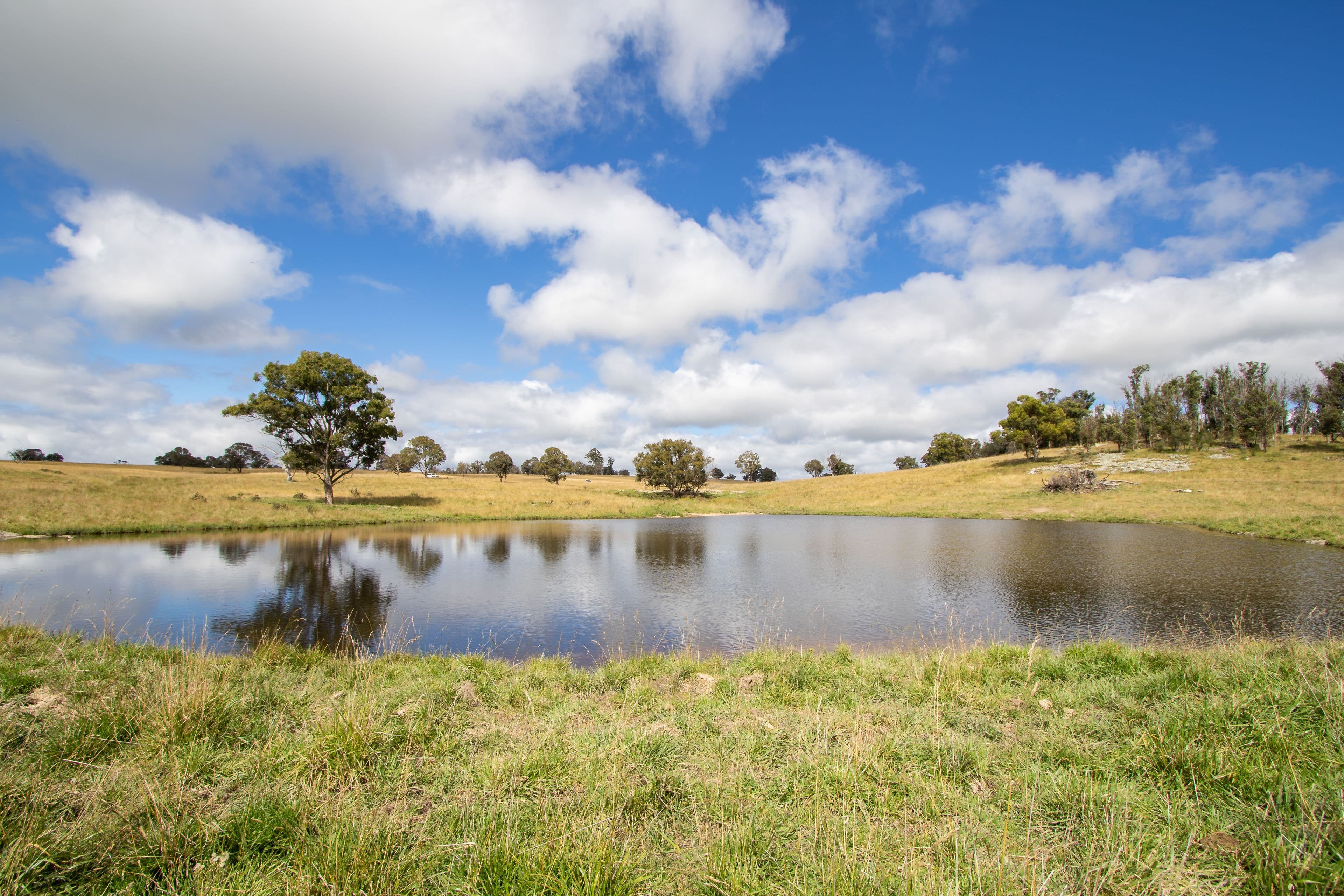 131 Brennan Road, ENMORE NSW 2350, Enmore - Thumbnail 8