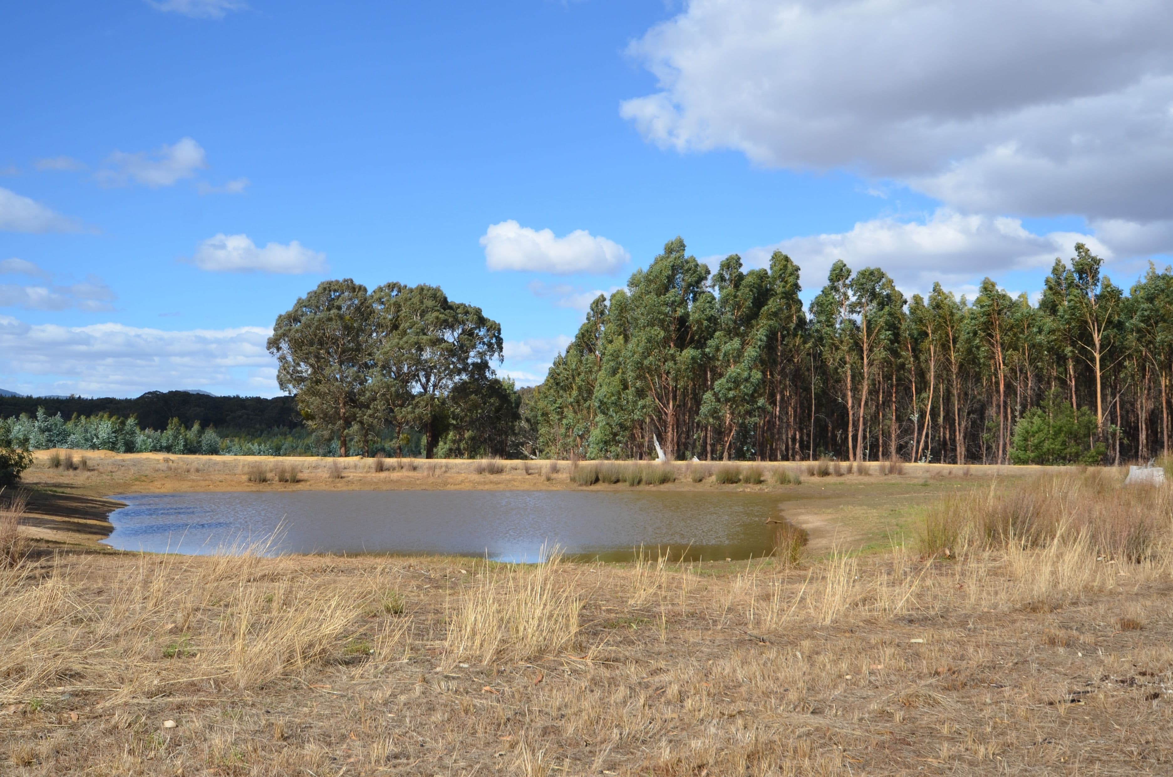"Cain" Western Highway, BUANGOR VIC 3375, Buangor - Thumbnail 5