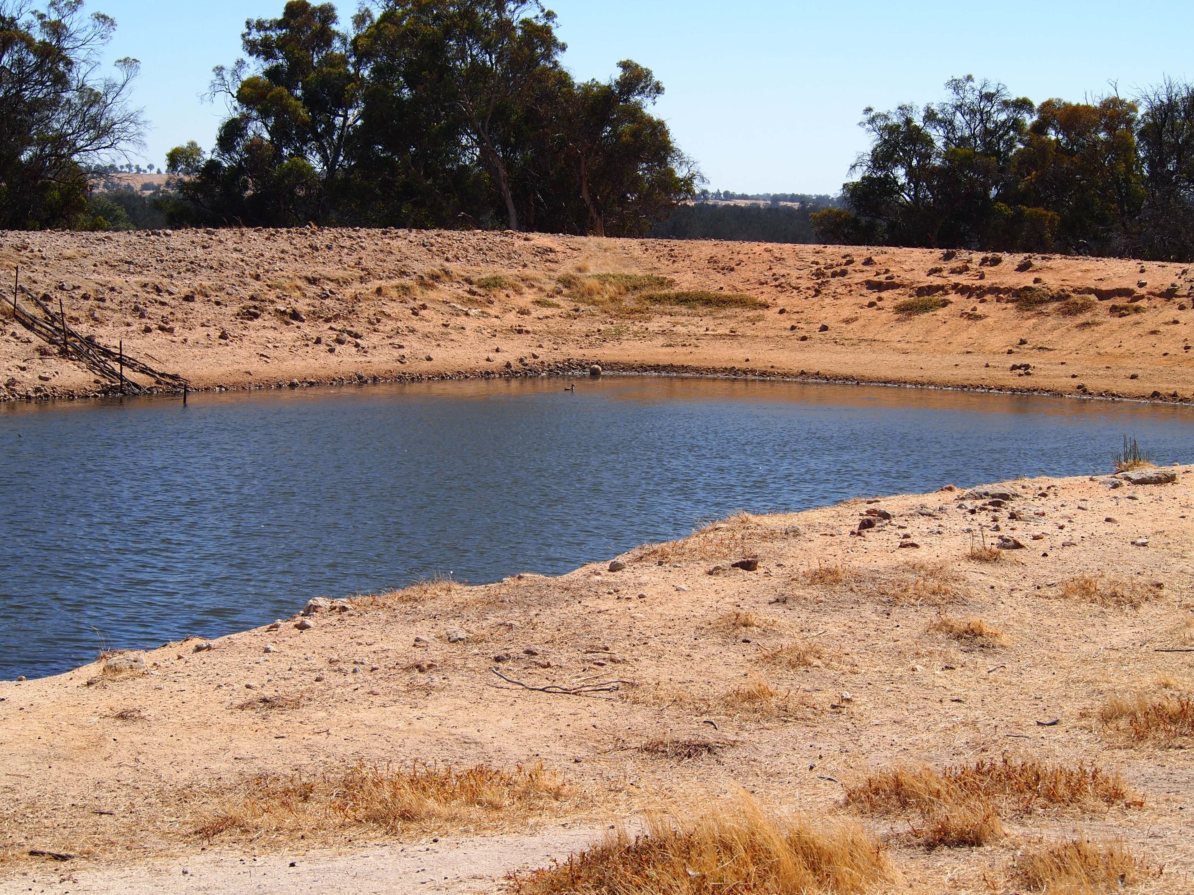 Muja Downs, Albany Highway, Beaufort River WA 6394, Beaufort River - Thumbnail 8