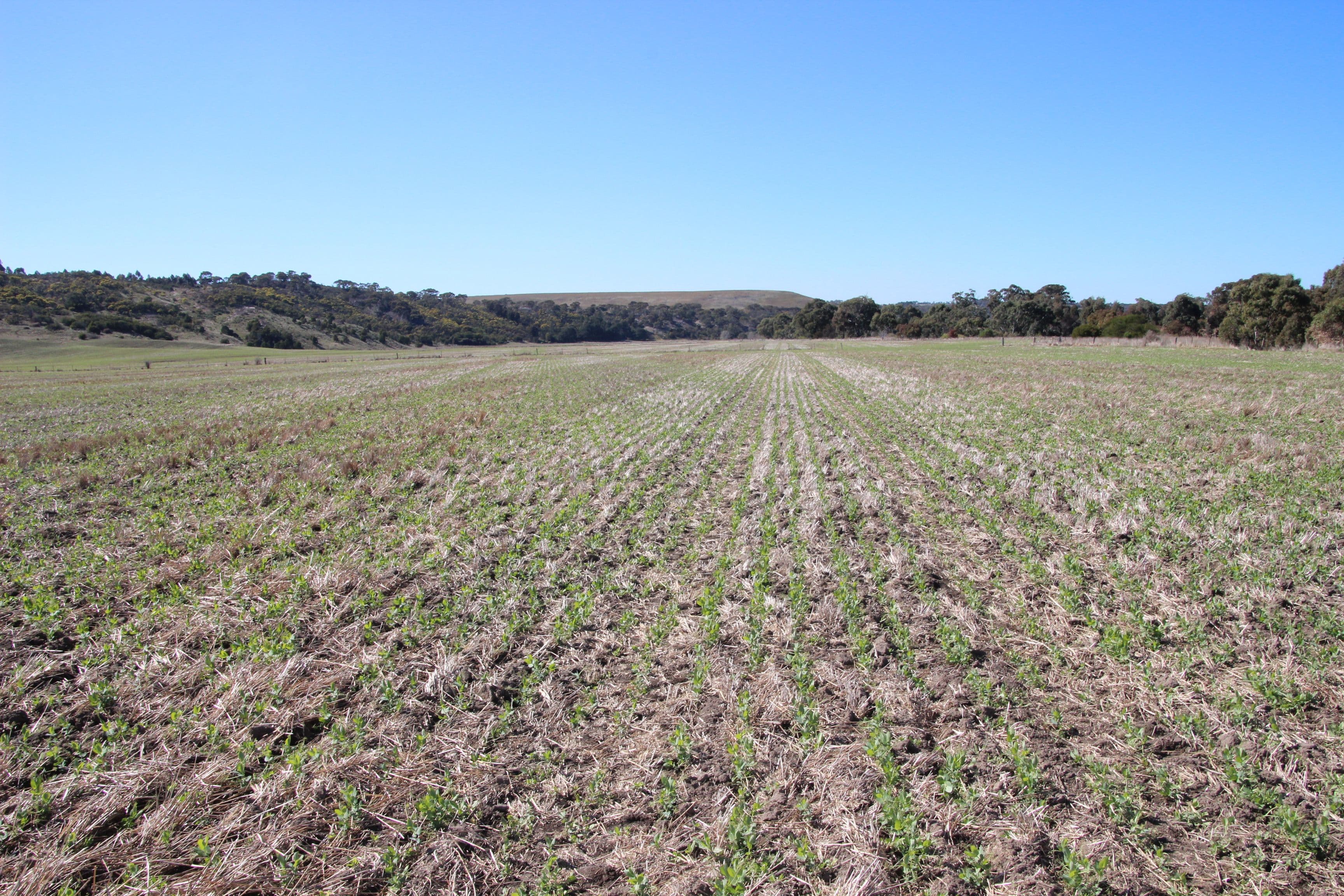 1096 Glenmore Road, Rowsley VIC 3340, Rowsley - Thumbnail 5