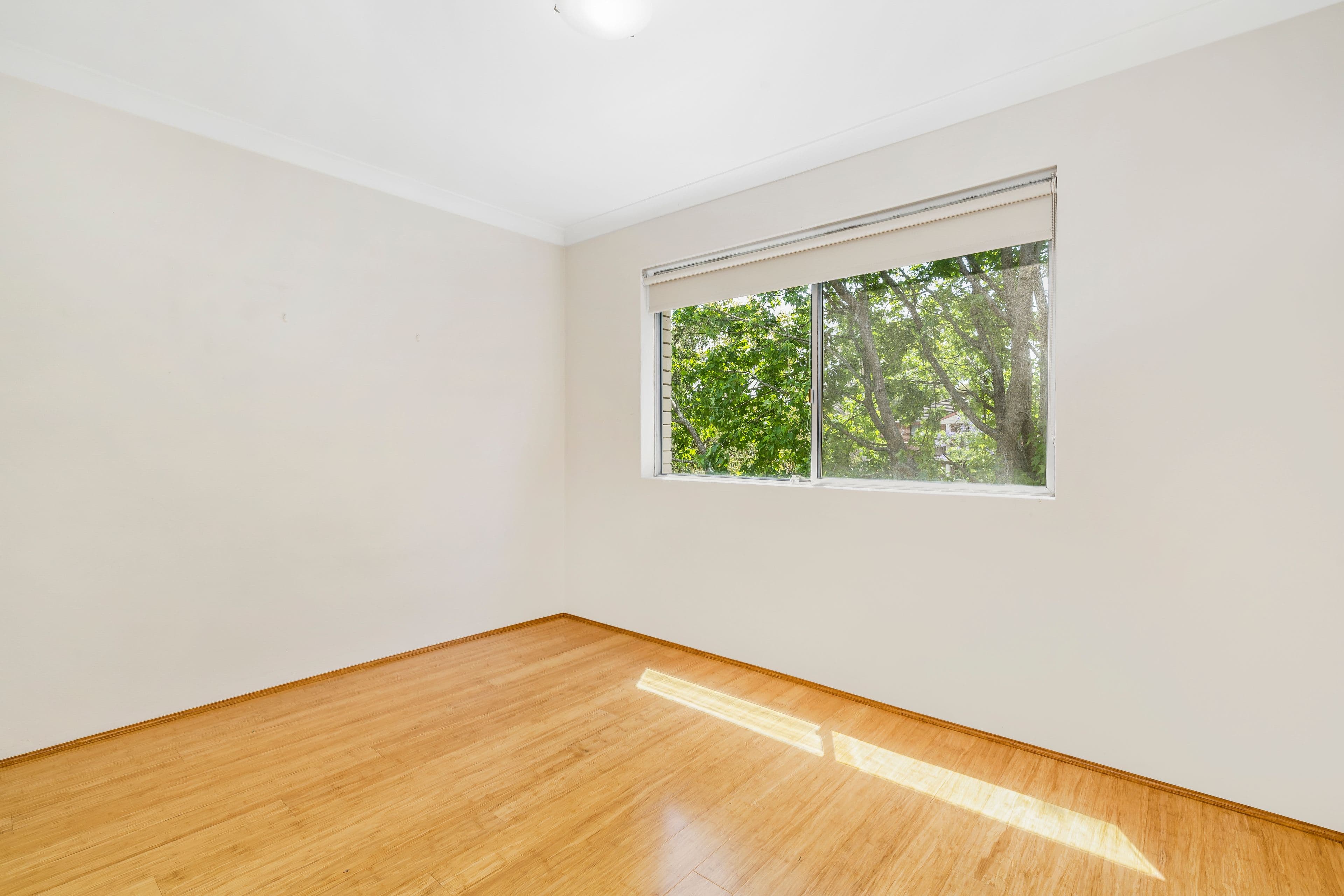 5/12 Broughton Road, Artarmon NSW 2064, Artarmon - Thumbnail 4
