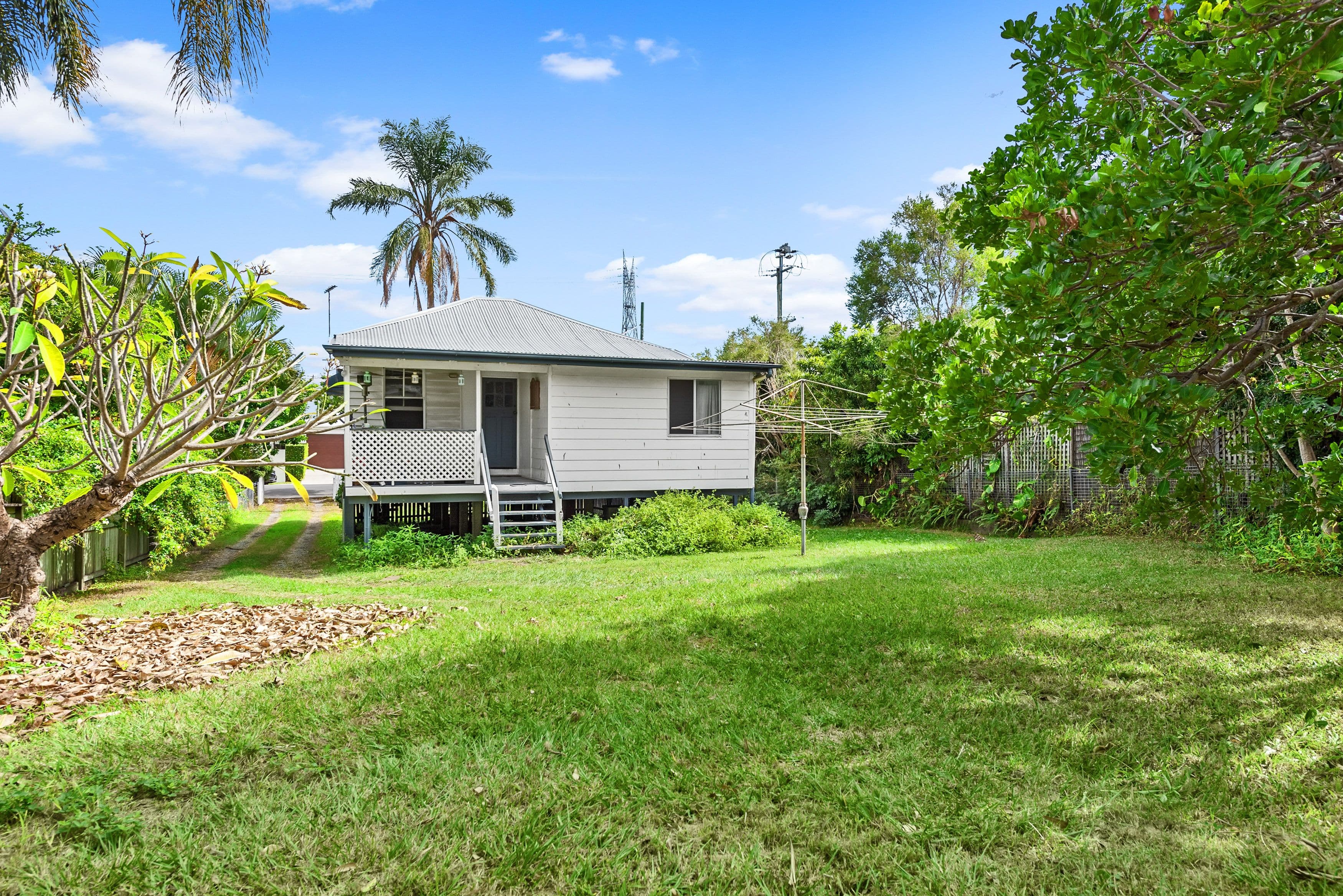 43 Coutts Street, Bulimba QLD 4171, Bulimba - Thumbnail 3