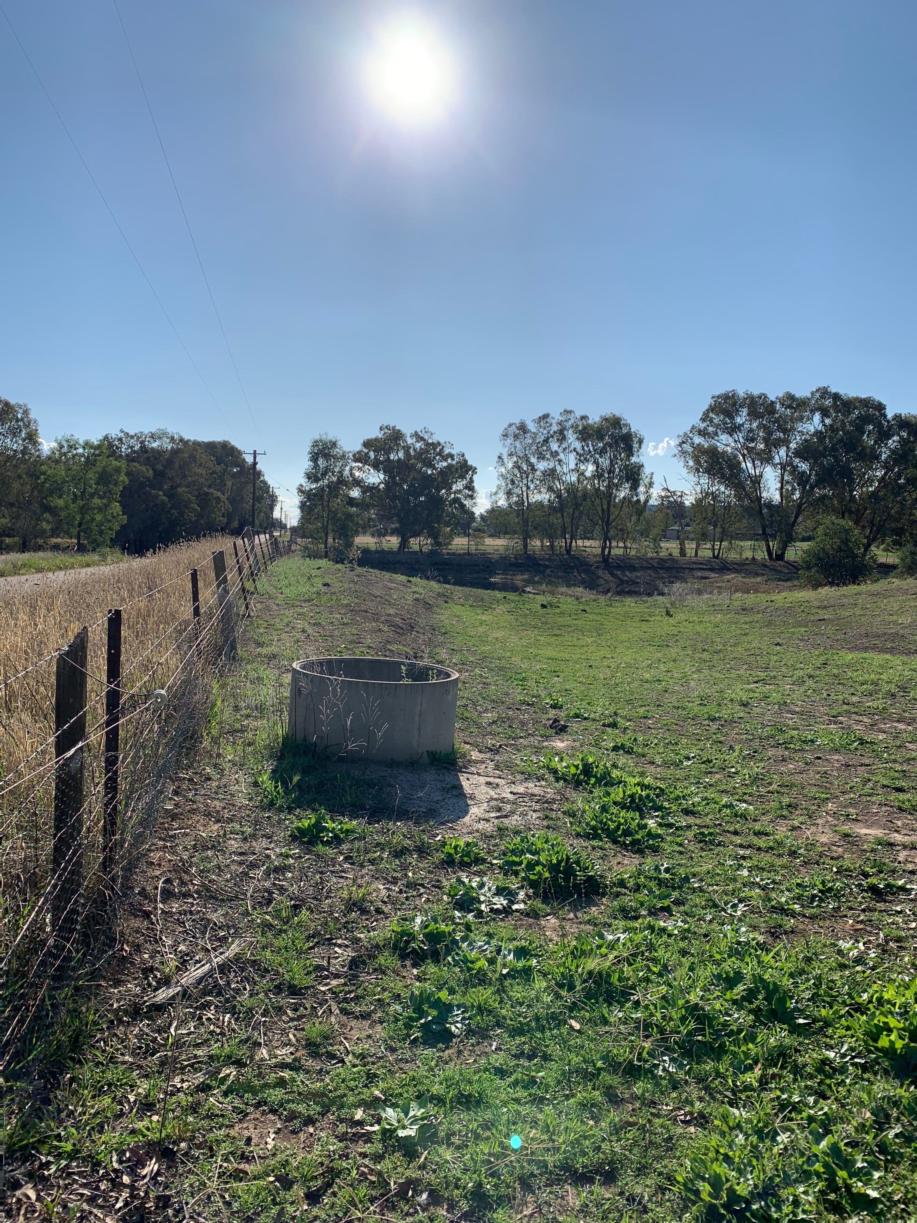 82A Thomas Street, Gerogery NSW 2642, Gerogery - Thumbnail 6