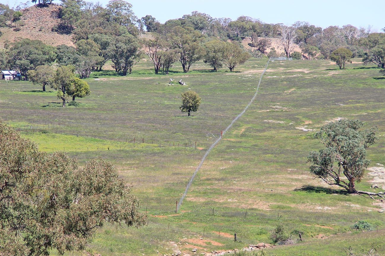 ' LUMEAH', COONABARABRAN NSW 2357, Coonabarabran - Thumbnail 8