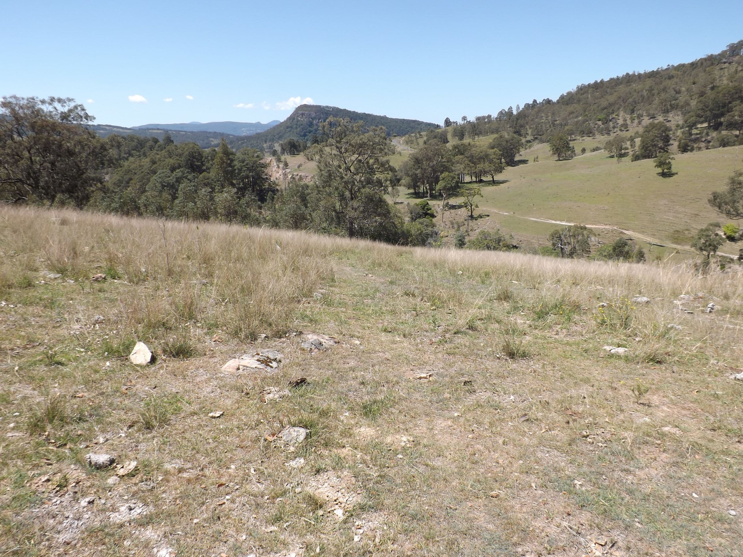 Lots 1 Carrowbrook Road, SINGLETON NSW 2330, Singleton - Thumbnail 5