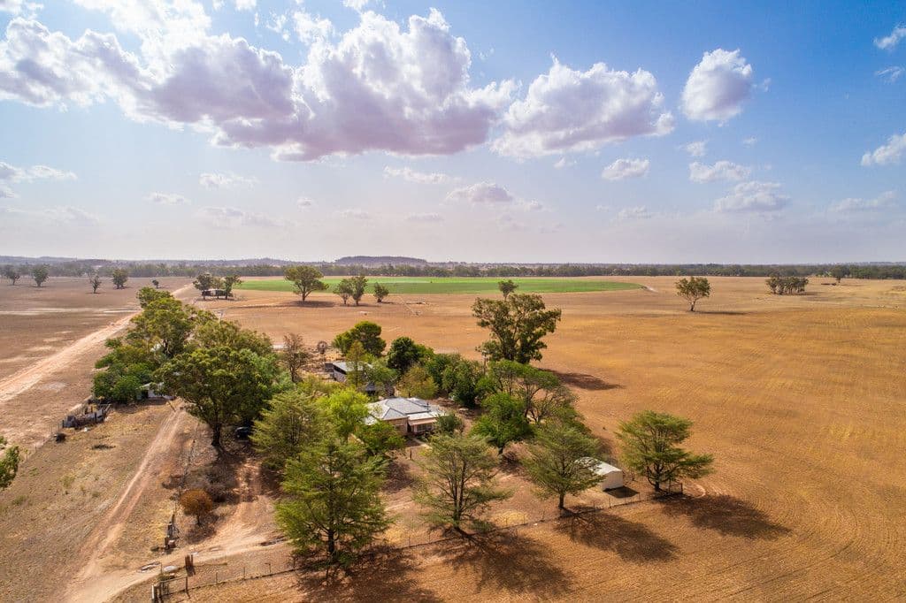 353 Cassidys Lane, Gooloogong NSW 2805, Gooloogong - Thumbnail 6