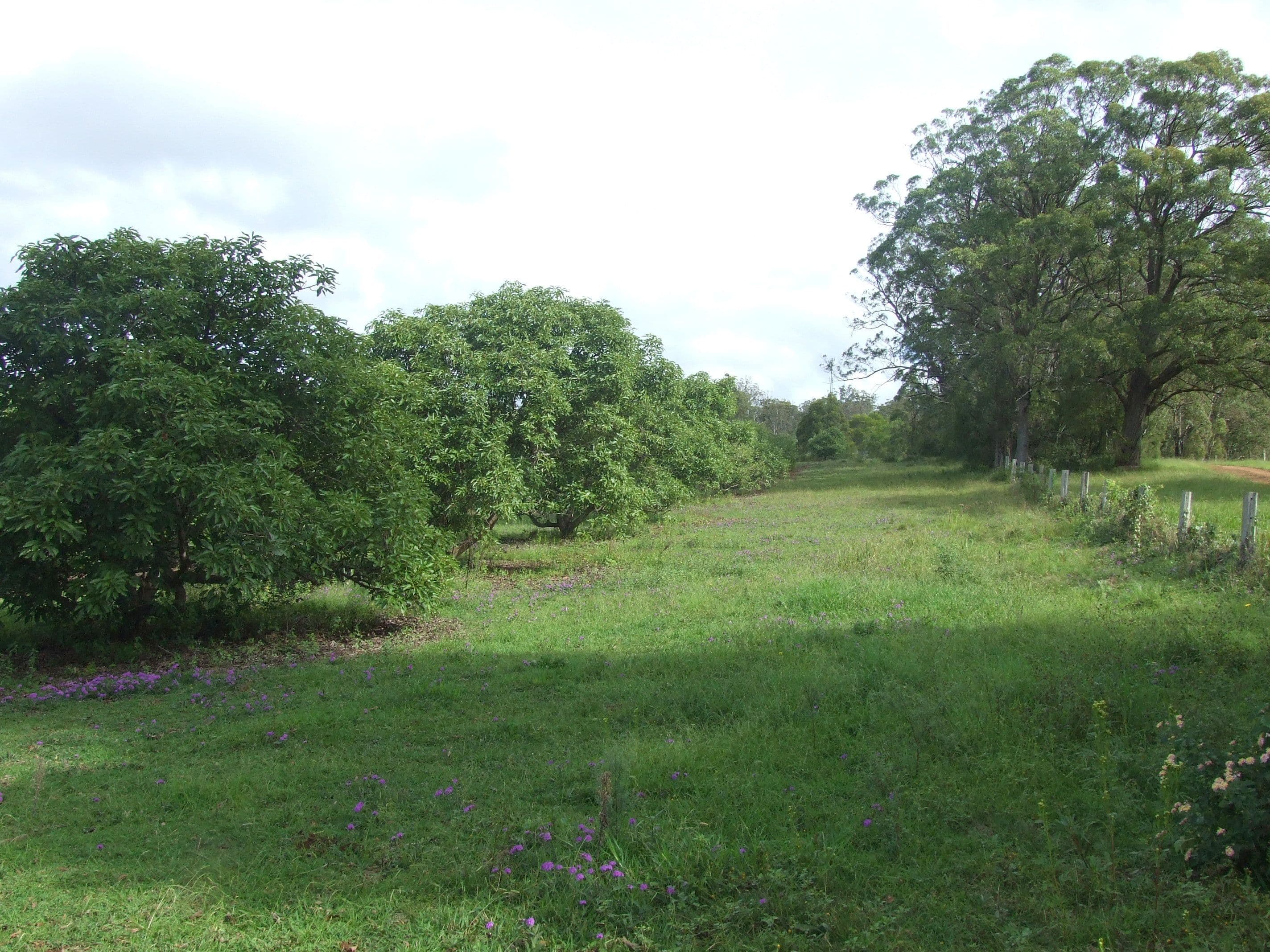 L47 Christy Road, Ravensbourne QLD 4352, Ravensbourne - Thumbnail 2