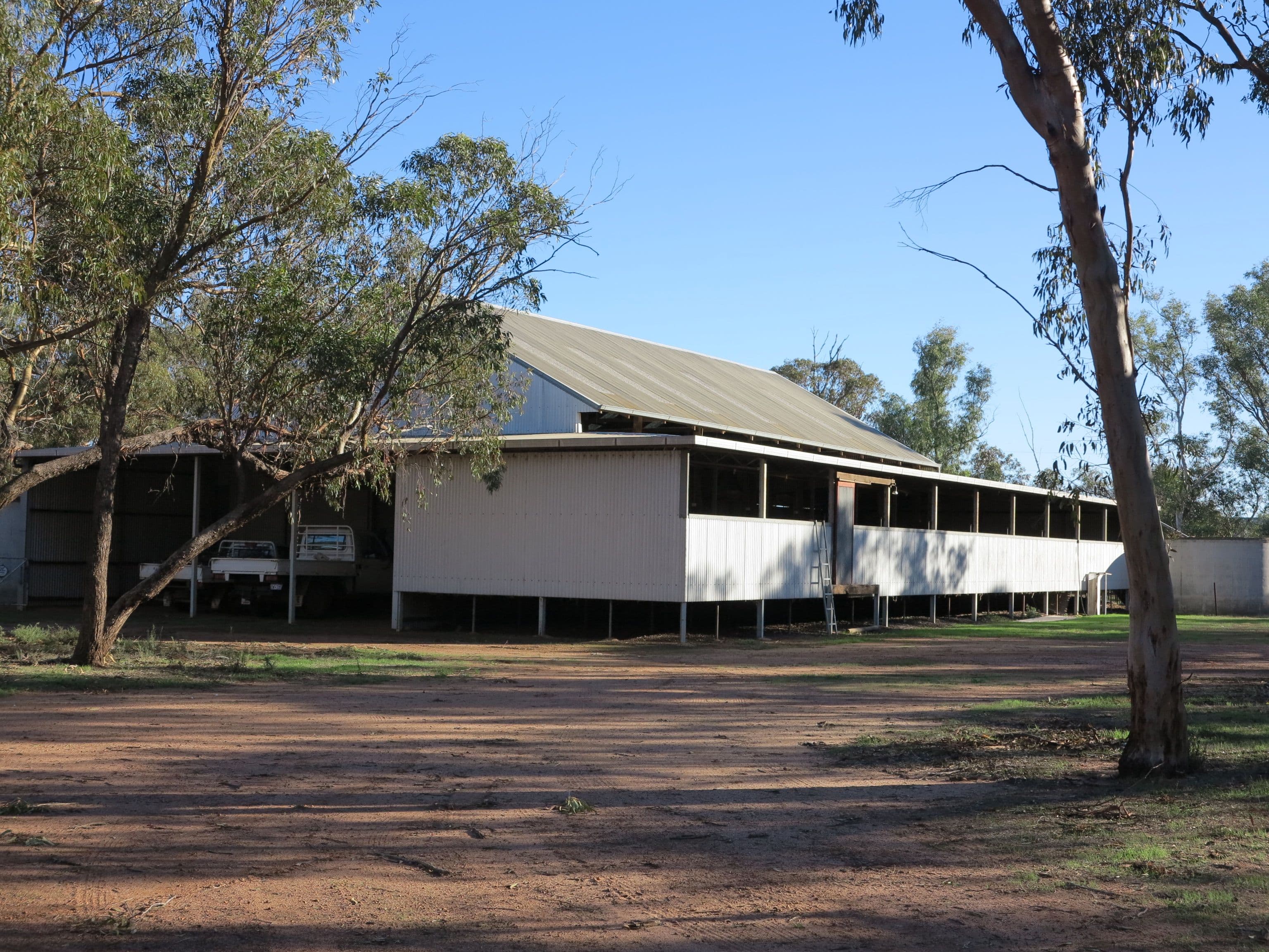 Koobabbie 953 Mamboobie Road, Coorow WA 6515, Coorow - Thumbnail 7