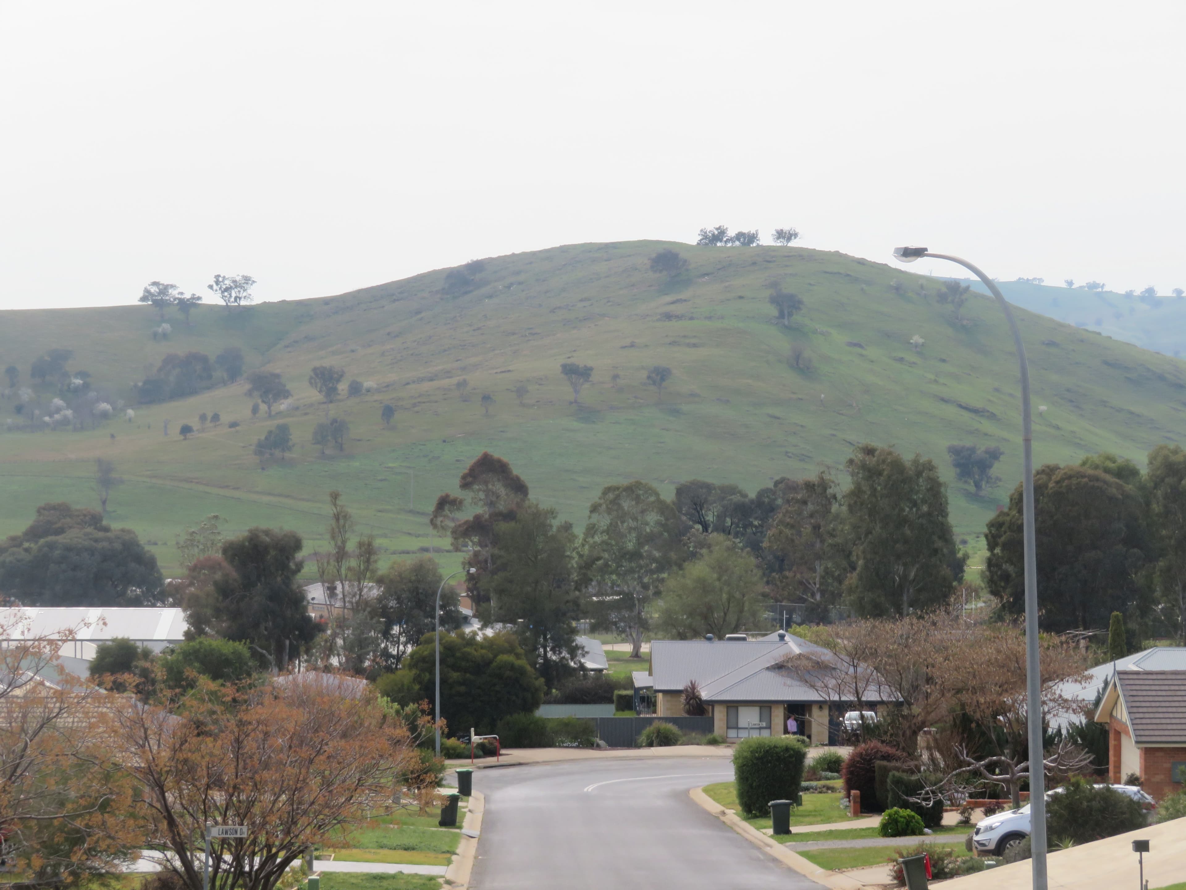 3 Lawson Drive, Gundagai NSW 2722, Gundagai - Thumbnail 4