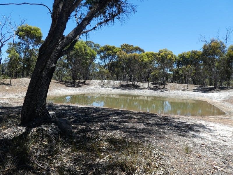 Lot 8 Rocky Gully Road, Rocky Gully WA 6397, Rocky Gully - Thumbnail 2