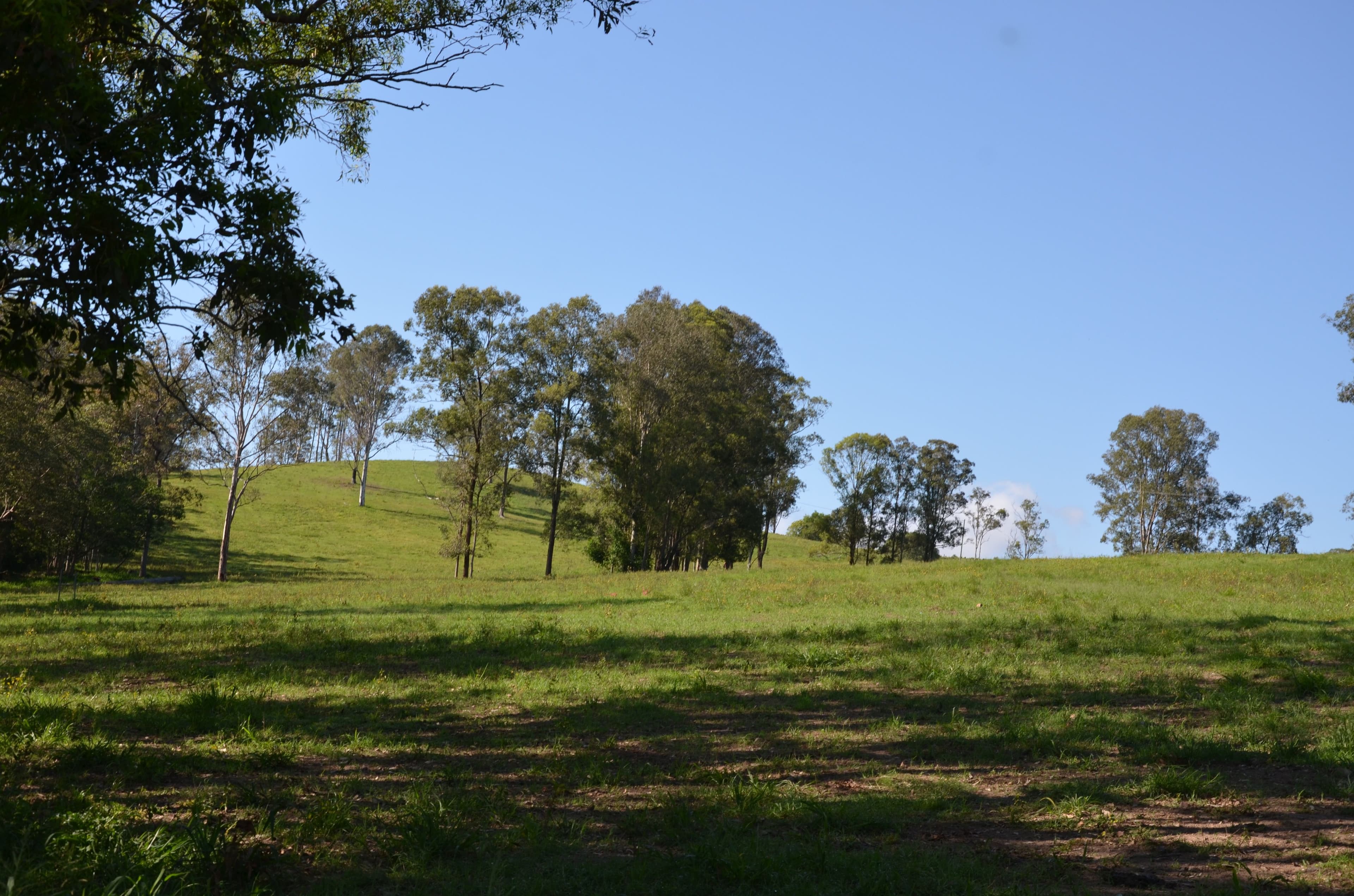2598 Eumundi Kenilworth Road, Kenilworth QLD 4574, Kenilworth - Thumbnail 7