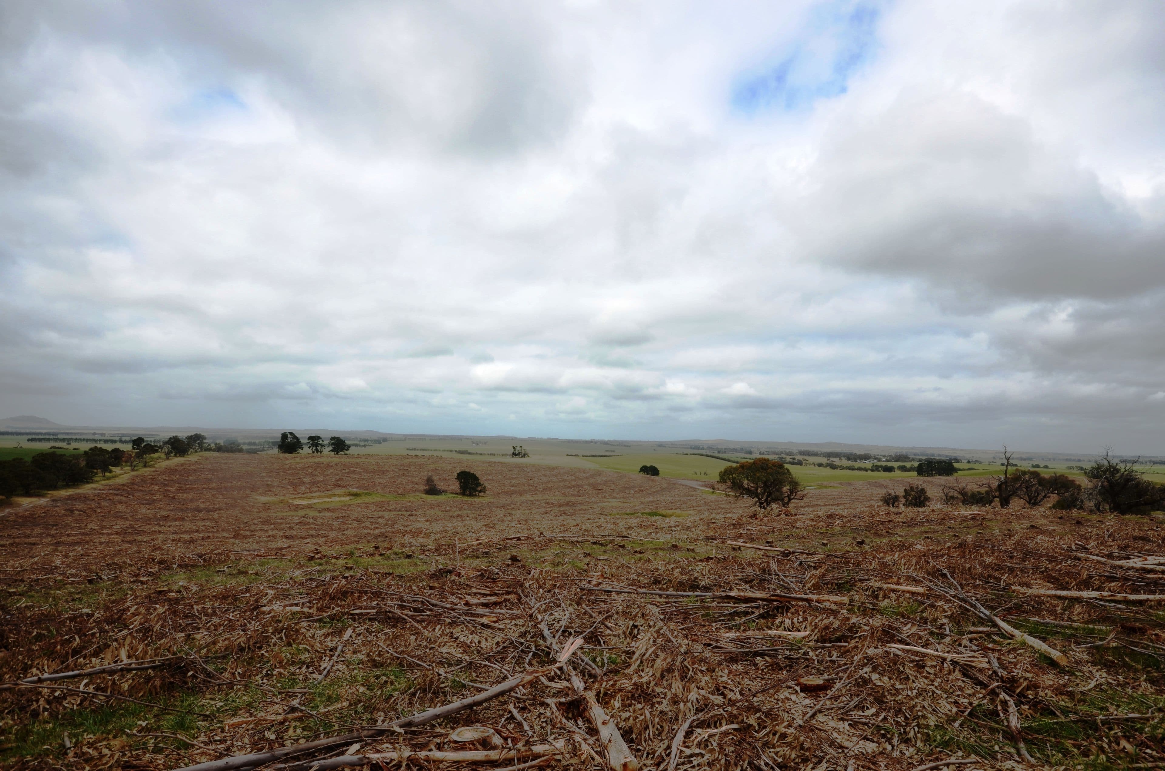 Lot 1 "Curlewis" Ellis Road, BEAUFORT VIC 3373, Beaufort - Image 1