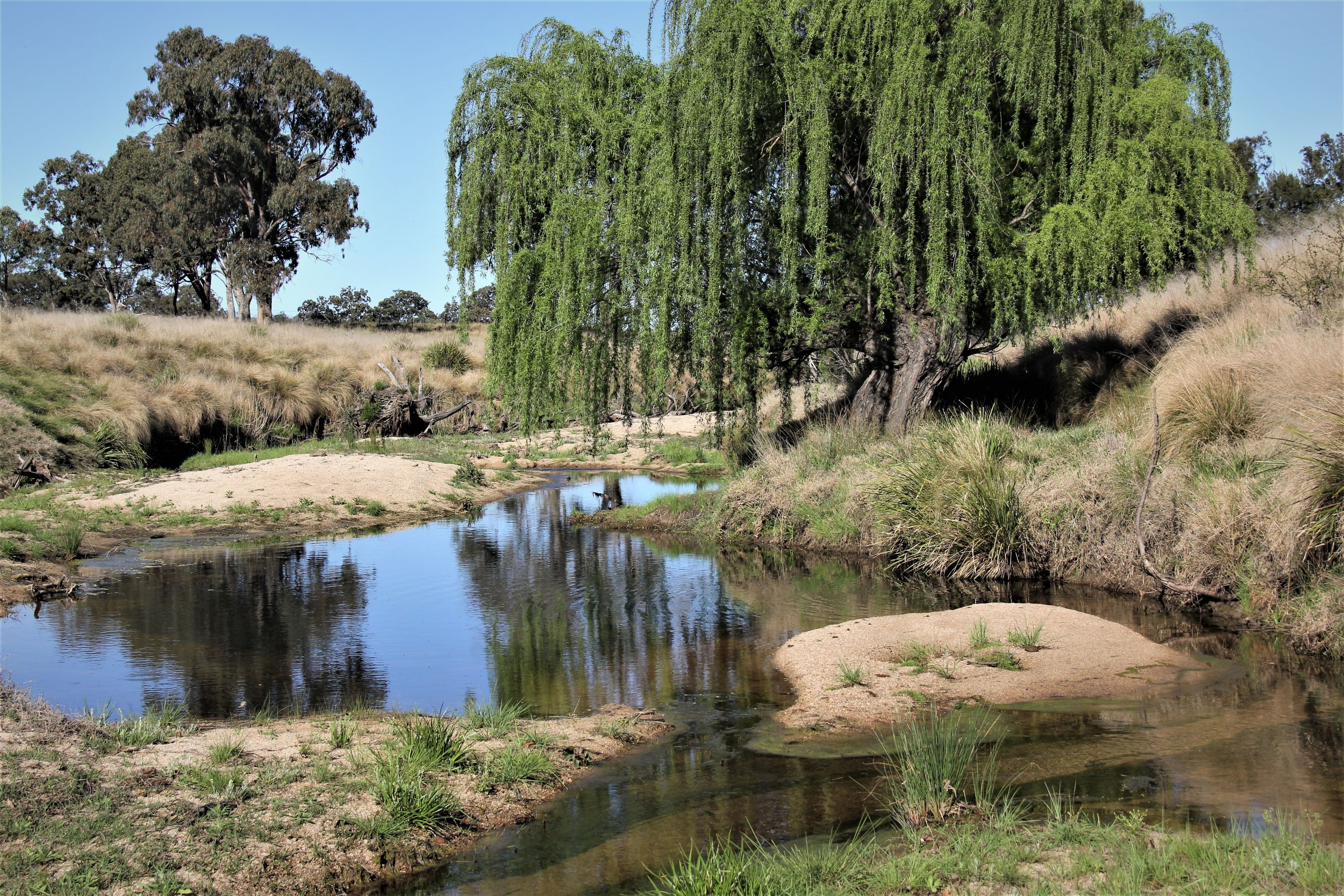 214 Tarban Loop Road, Tenterfield NSW 2372, Tenterfield - Thumbnail 2