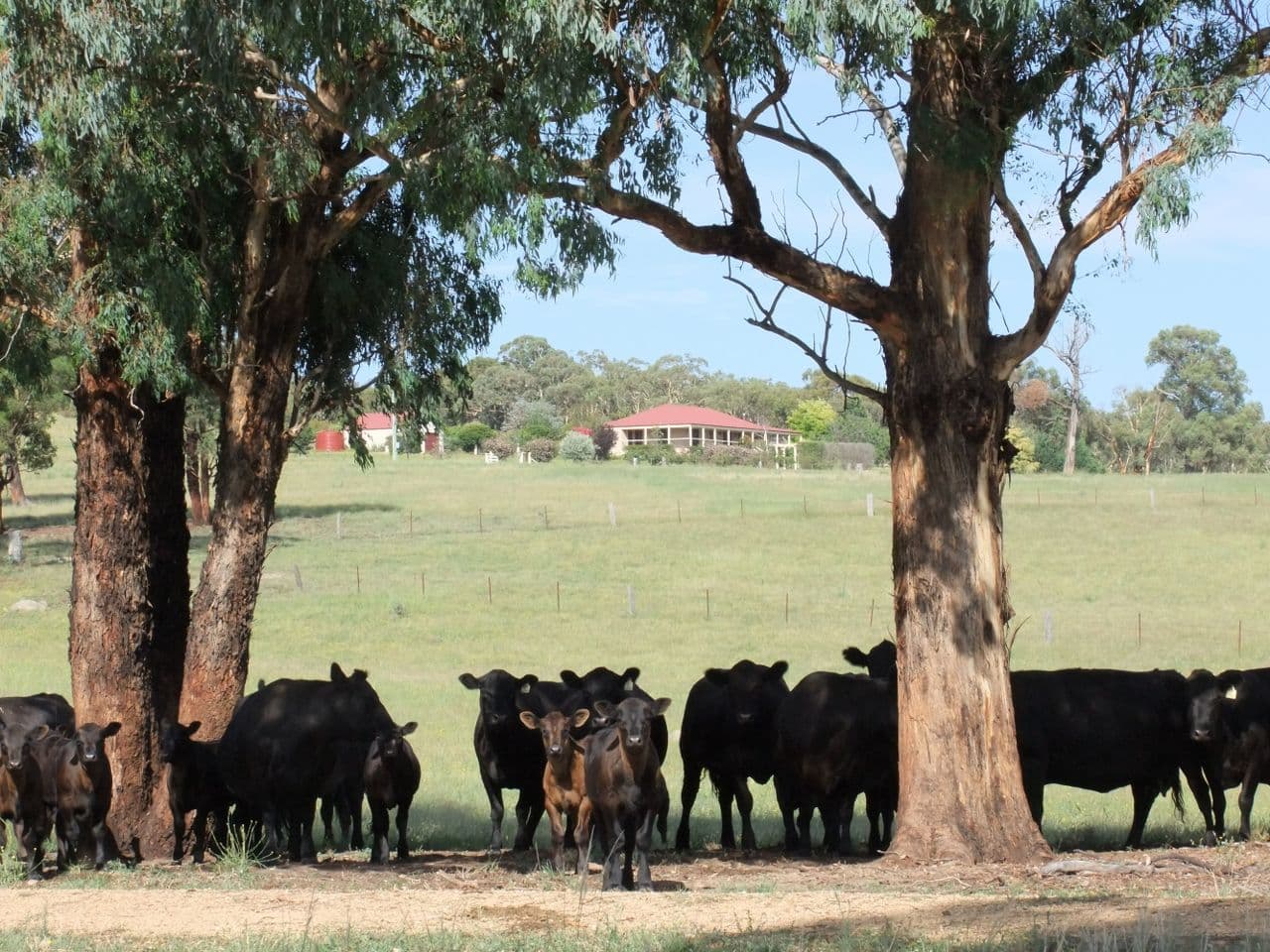 2044 Lagoon Road, Bathurst NSW 2795, Bathurst - Image 1