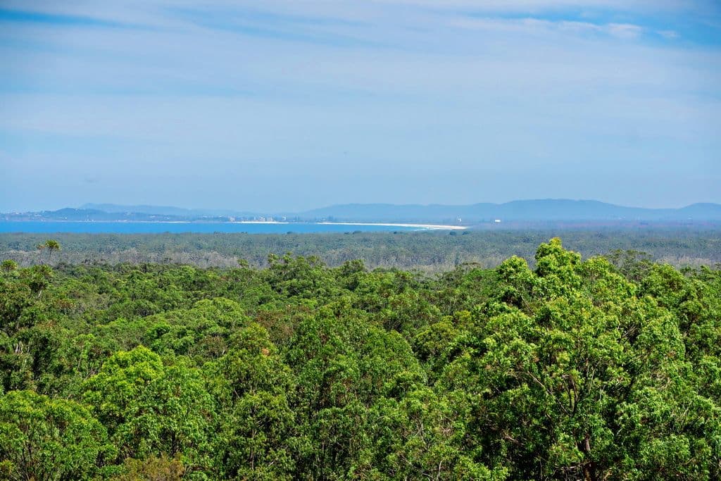 43 Eastern Valley Way, Tallwoods Village NSW 2430, Tallwoods Village - Thumbnail 4