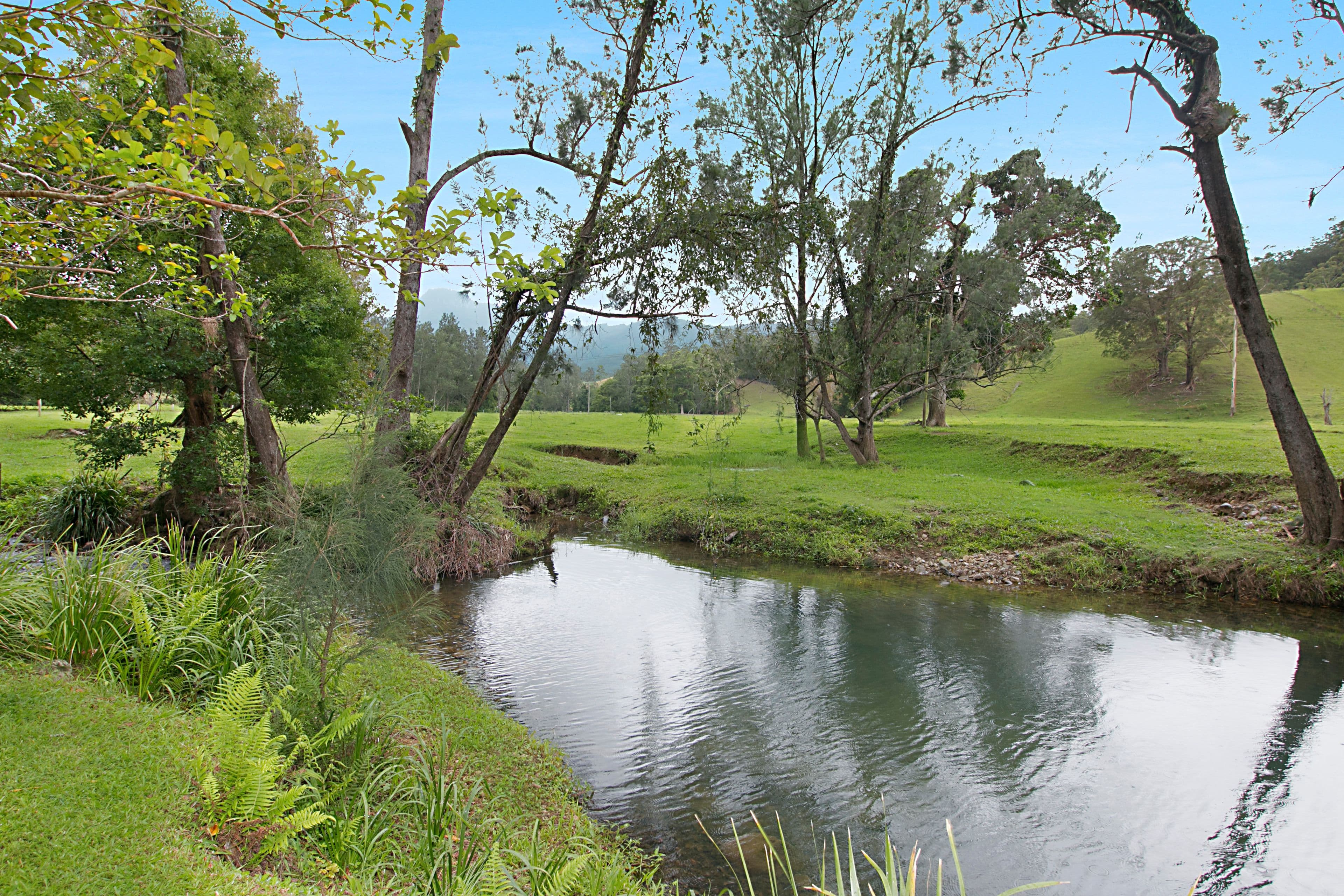 456 Upper Crystal Creek Road, Upper Crystal Creek NSW 2484, Upper Crystal Creek - Thumbnail 5