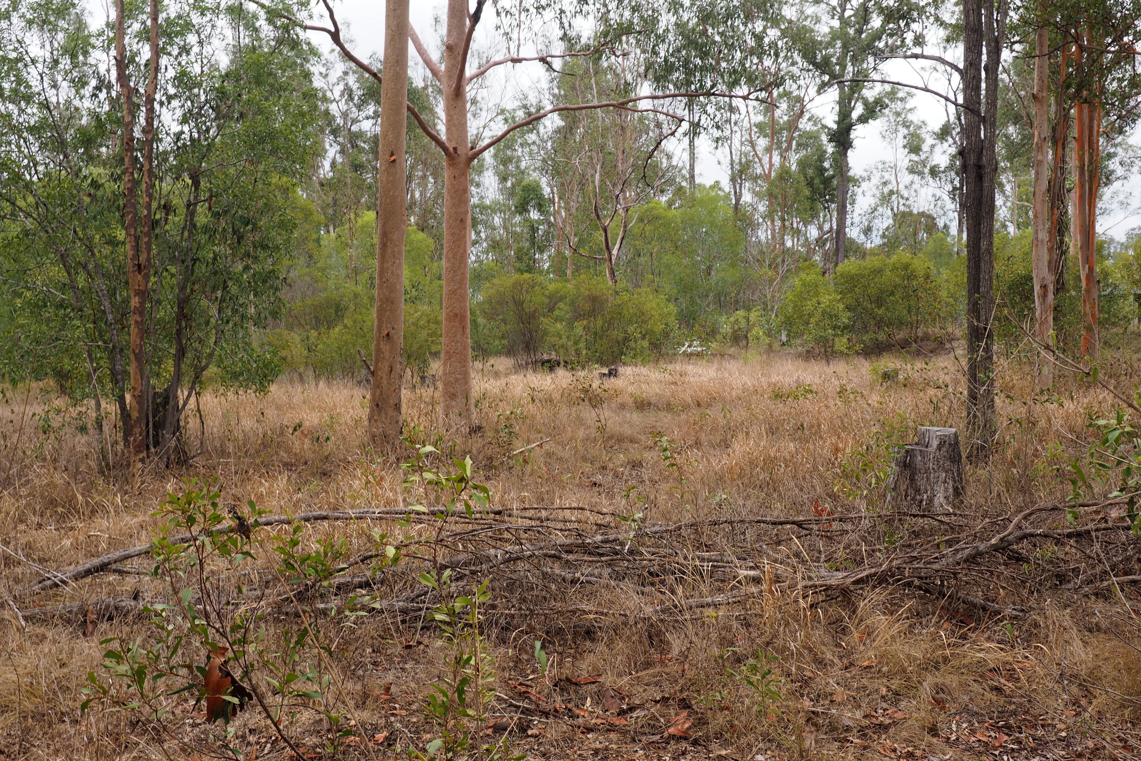 195 Nangarin Road, Oakhurst QLD 4650, Oakhurst - Thumbnail 3