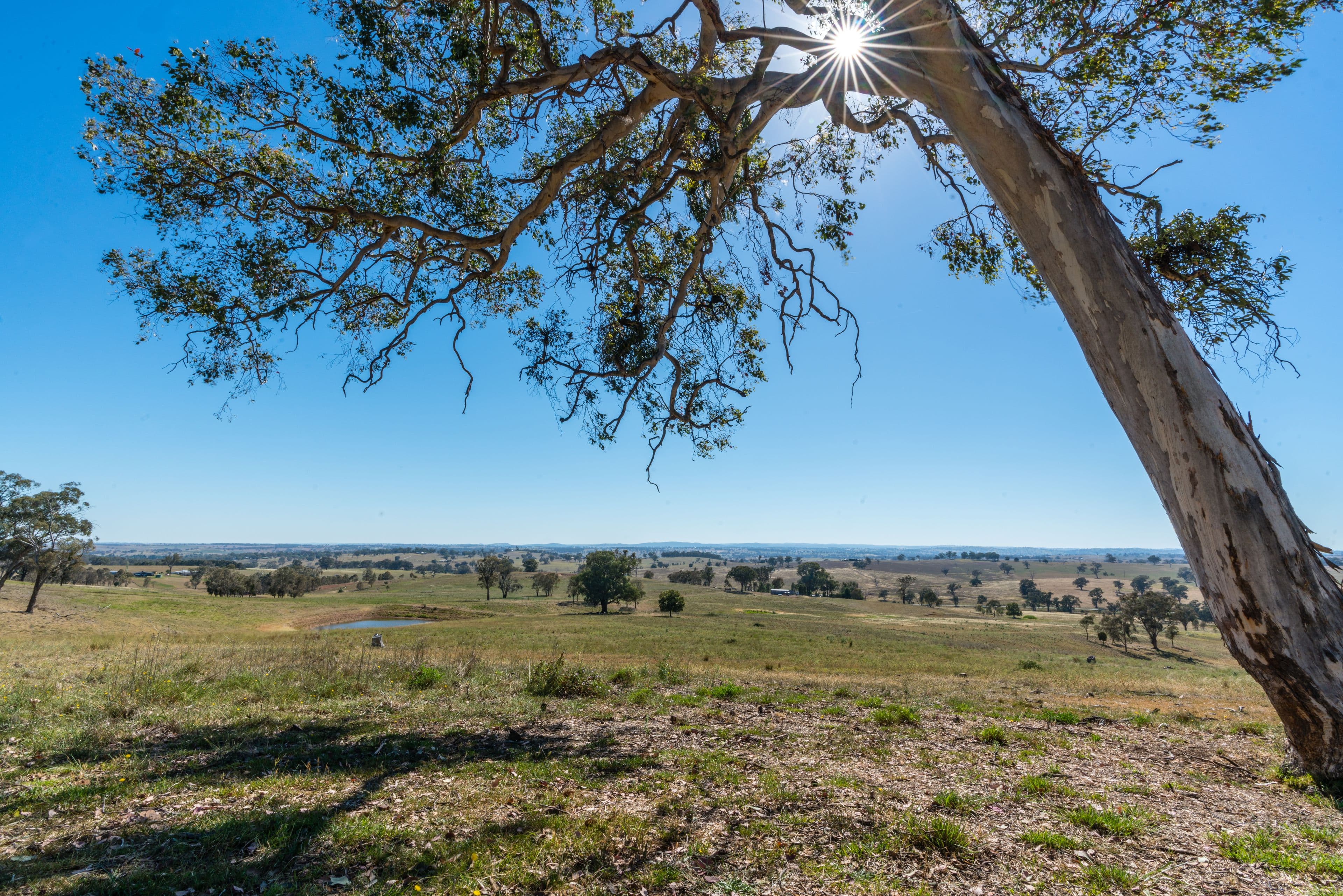 Molong NSW 2866, Molong - Thumbnail 3