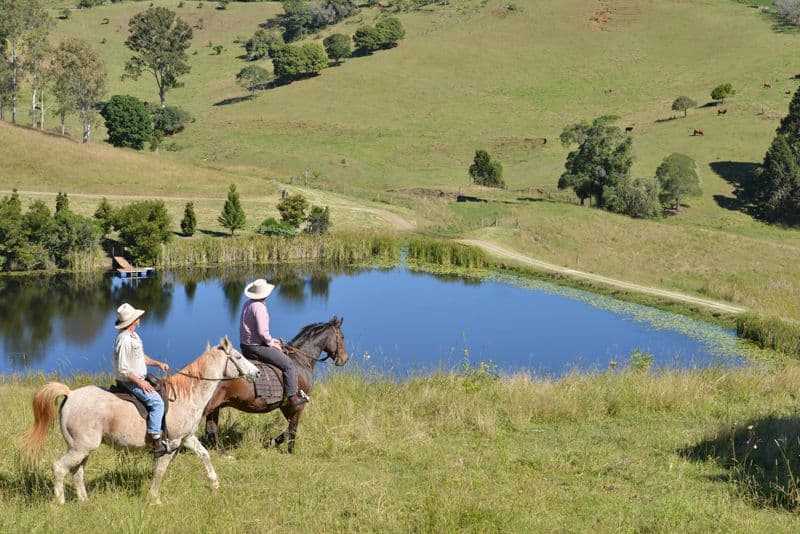 105 Jerry Creek Road, Langshaw QLD 4570, Langshaw - Thumbnail 4