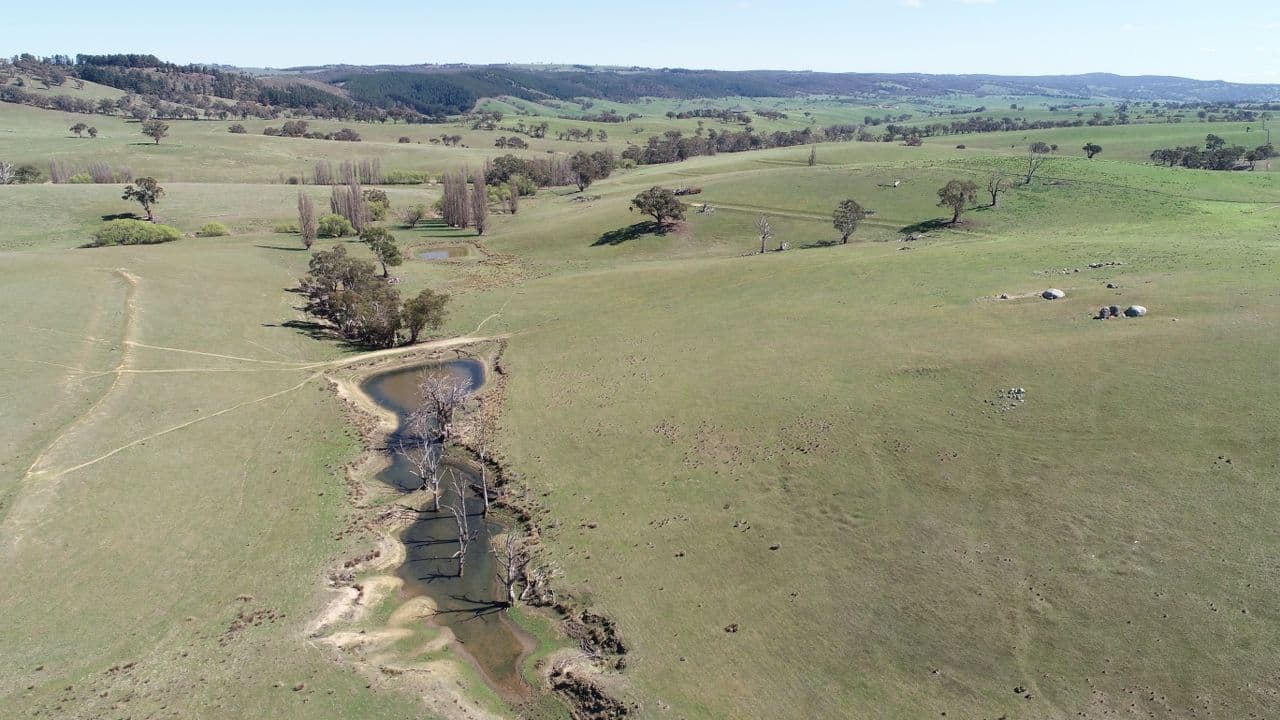1046 Wimbledon Road, Bathurst NSW 2795, Bathurst - Thumbnail 6