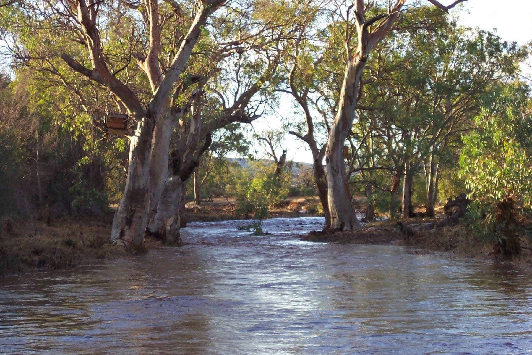 160 Schmidt Road, Quorn SA 5433, Quorn - Thumbnail 6