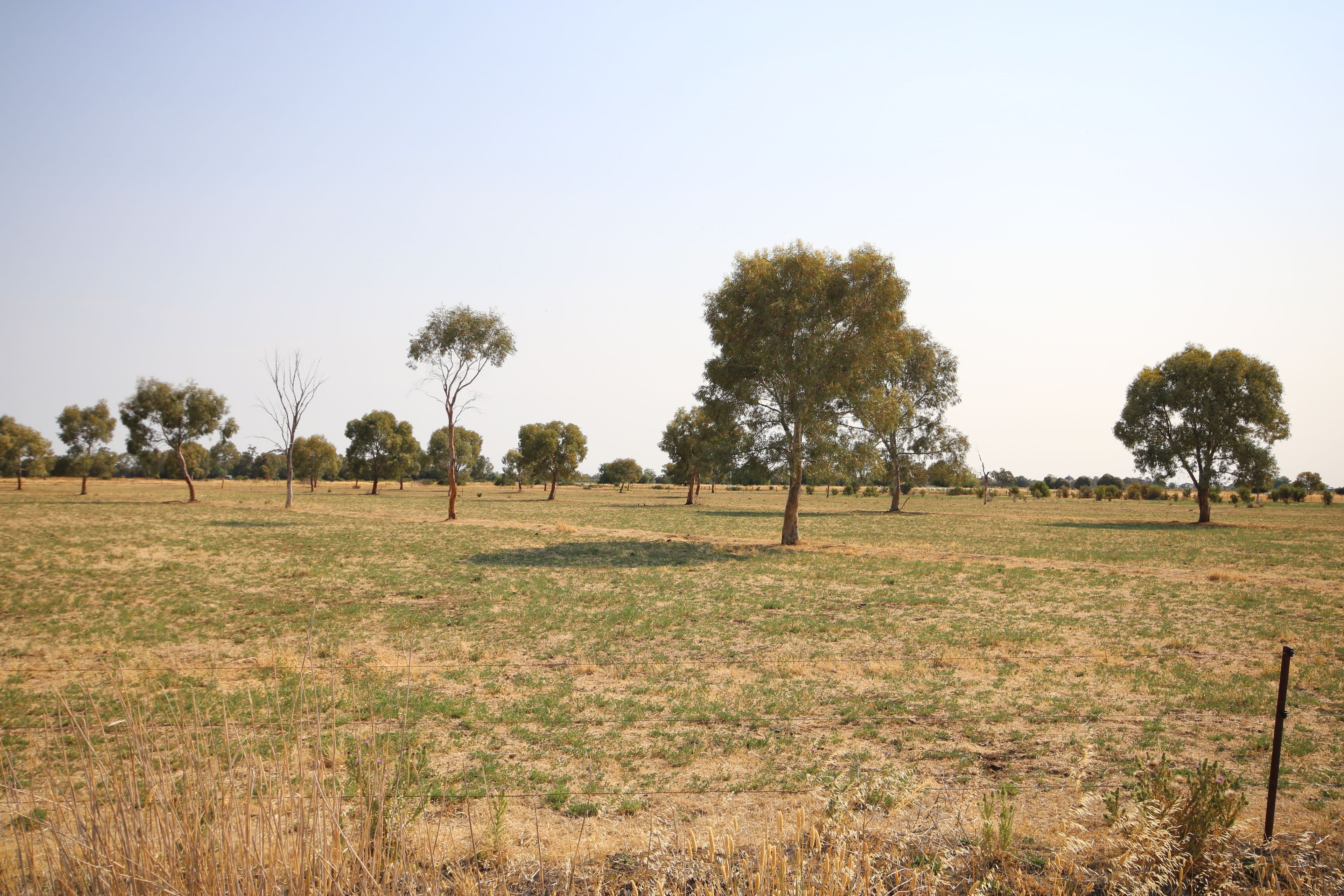 293 Hansen Road, Ballendella VIC 3561, Ballendella - Thumbnail 2